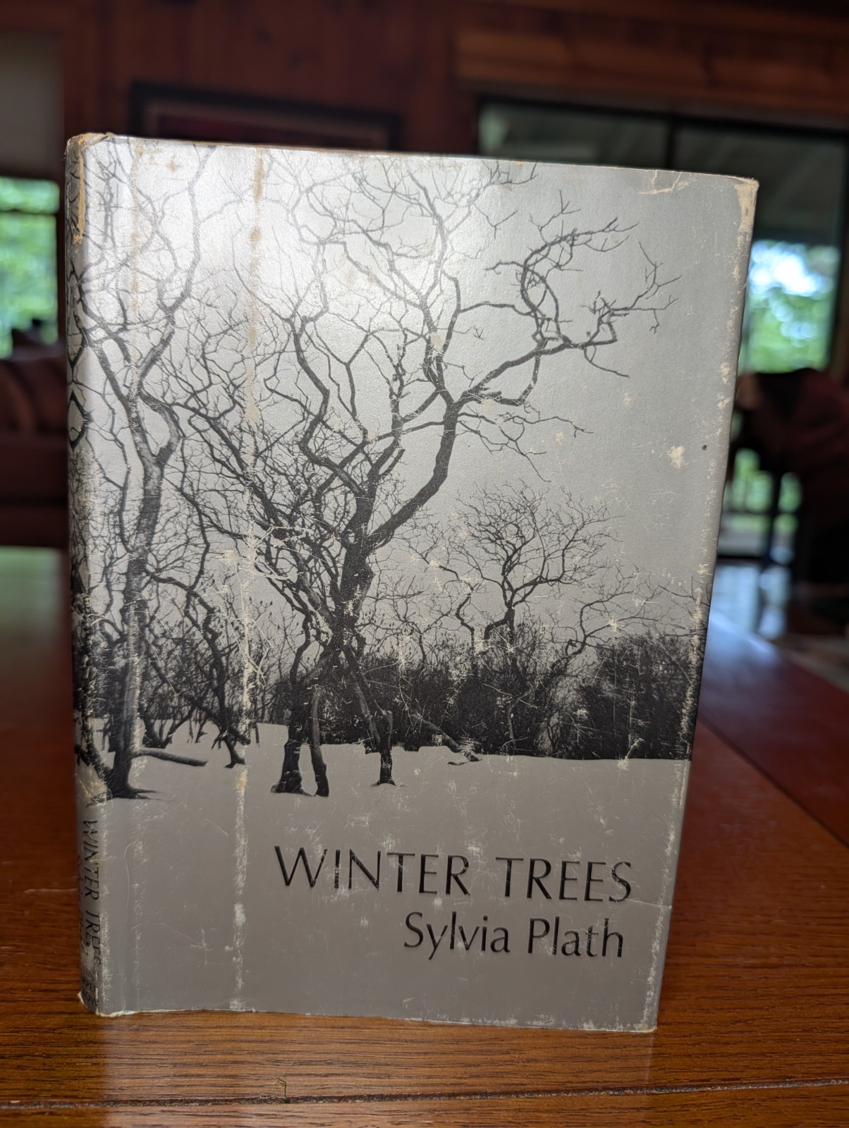 Sylvia Plath Winter Trees 1972 First U.S. Edition HC DJ Harper & Row Ariel