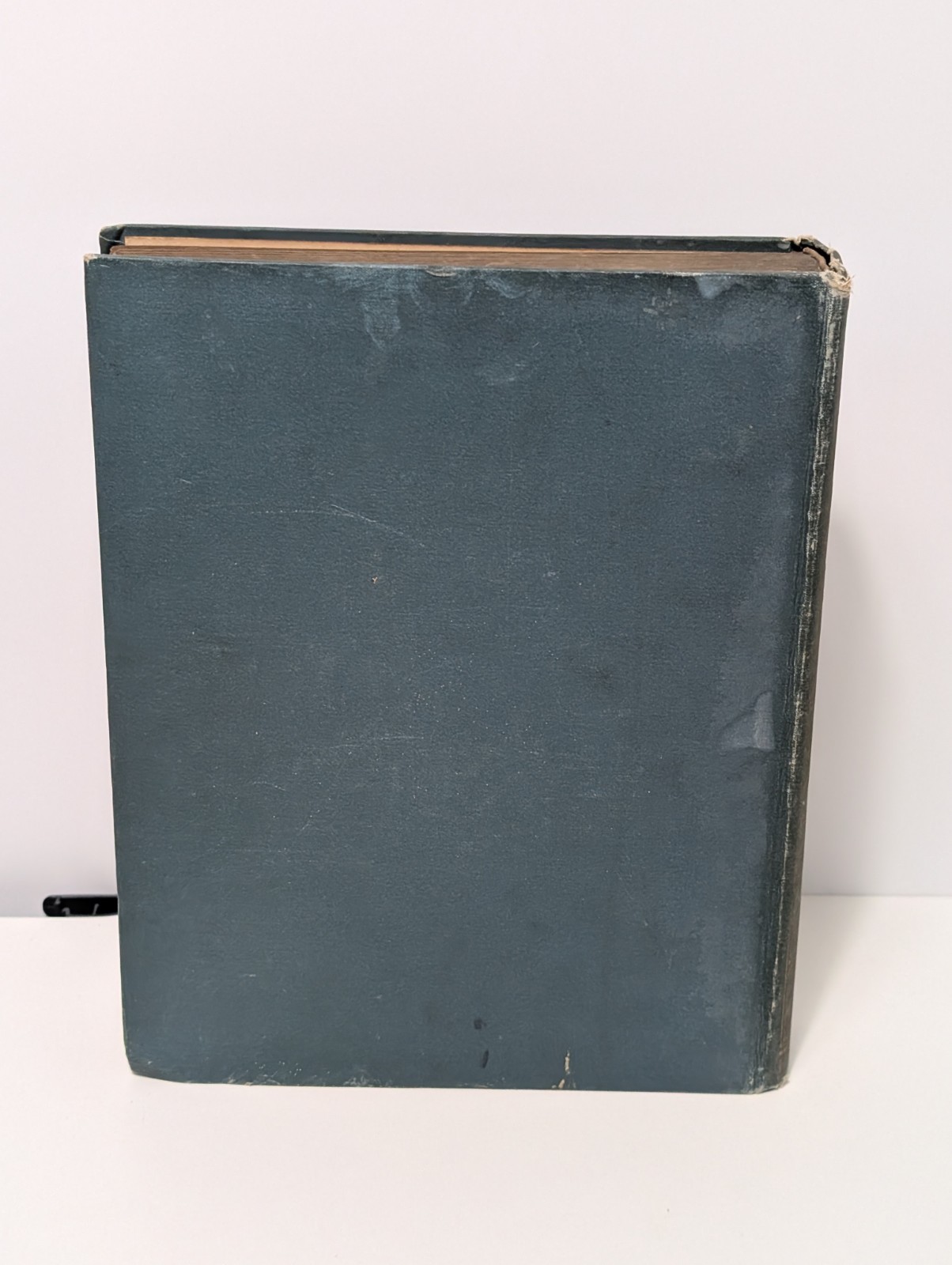 Sandro Botticelli Hachette 1913 hardback antique book