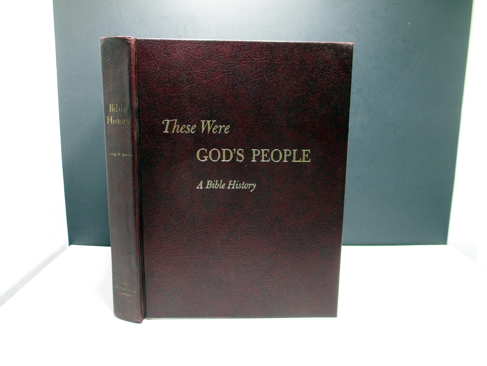 These Were God’s People A Bible History William Martin 1966