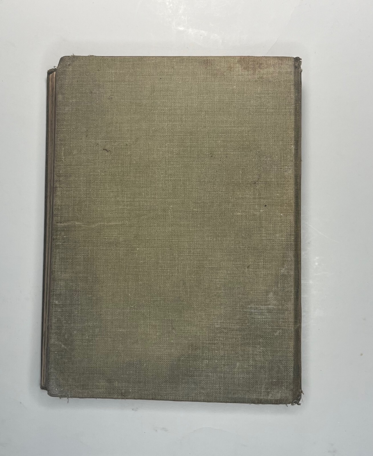 Third Year Language Reader, Baker,Carpenter, andBrooks, 1900, Vintage