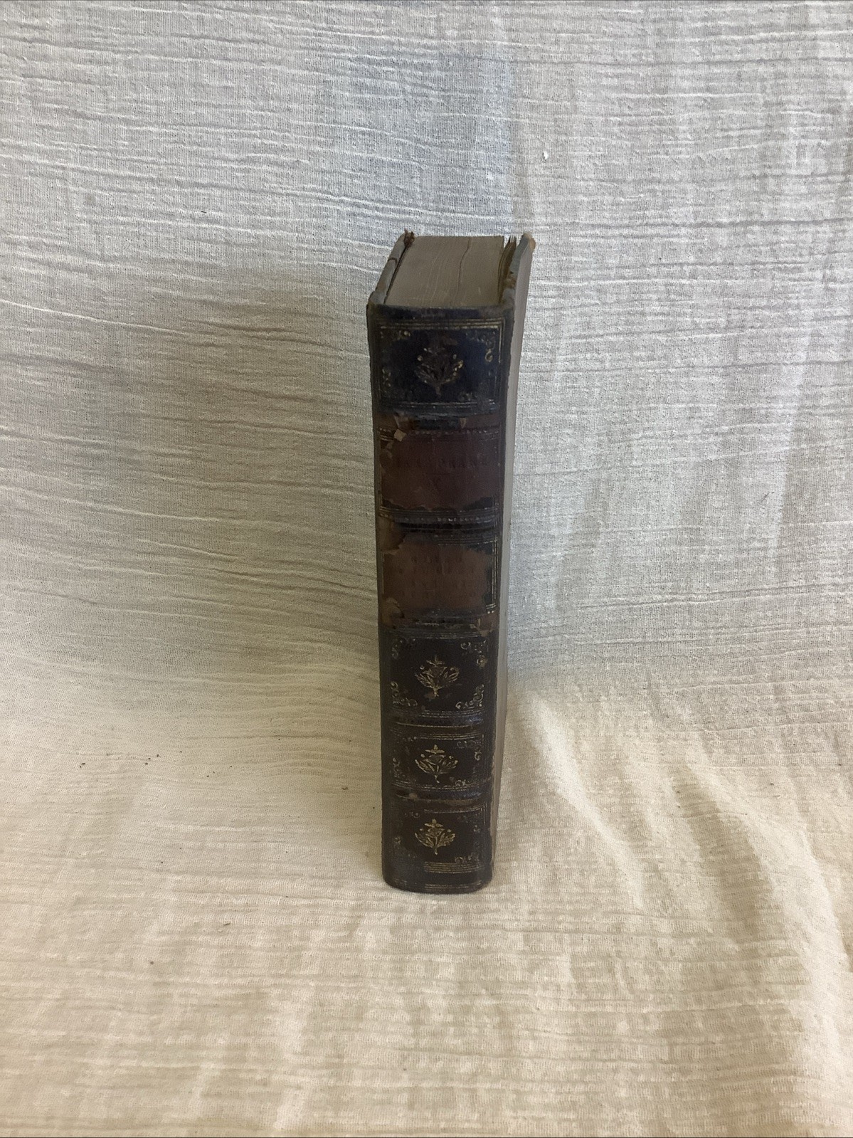 Rare – 1826 – The Dramatic Works Of William Shakespeare – Volume X