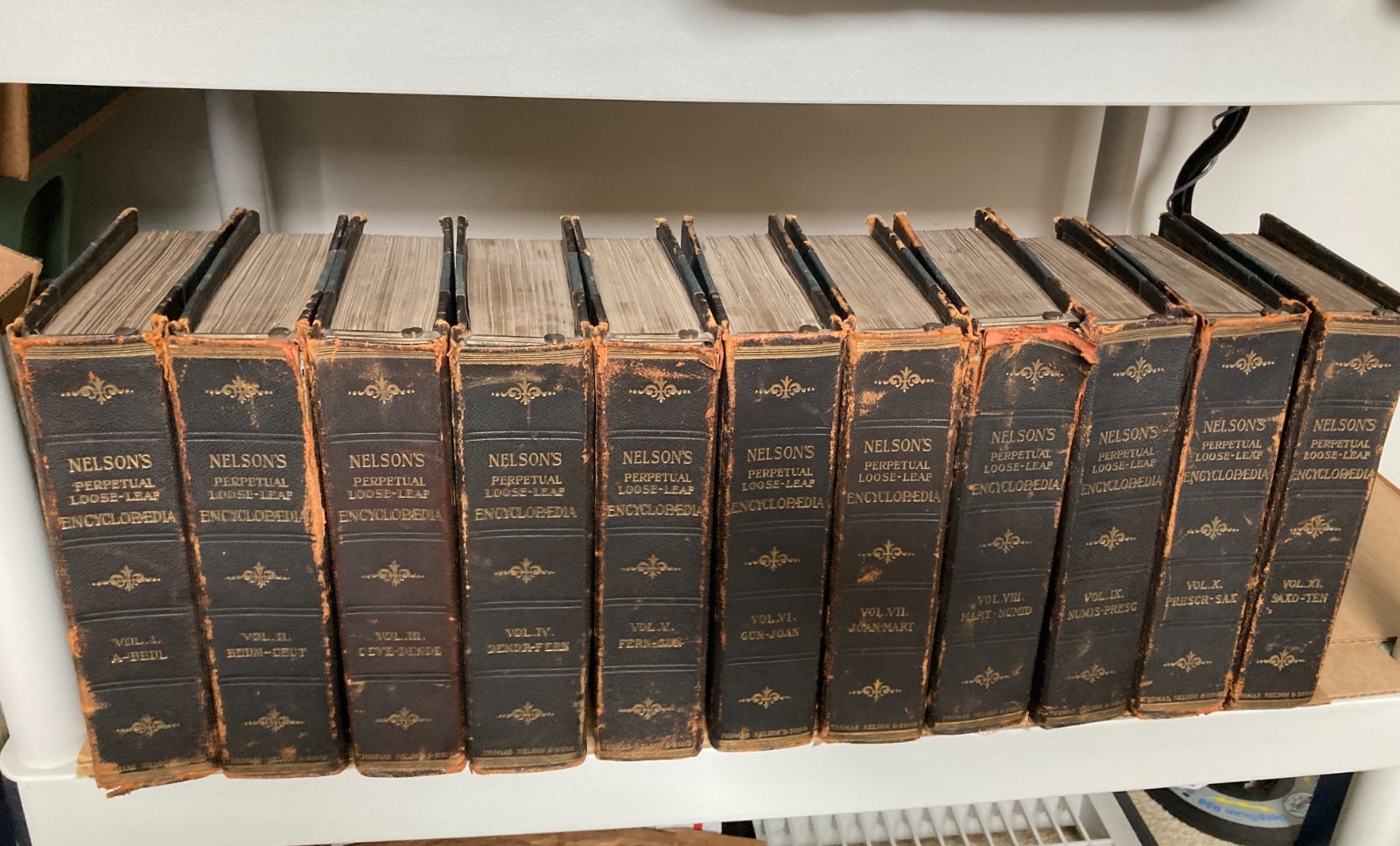Nelson’s Loose-Leaf Encyclopedia 12 Vol Set Antique 1905–1918 Illustrated