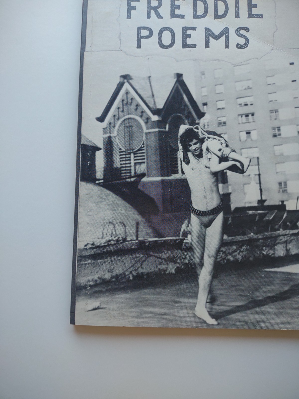 Freddie Poems Diane di Prima Rare 1974 Fine Beat Eidolon Editions