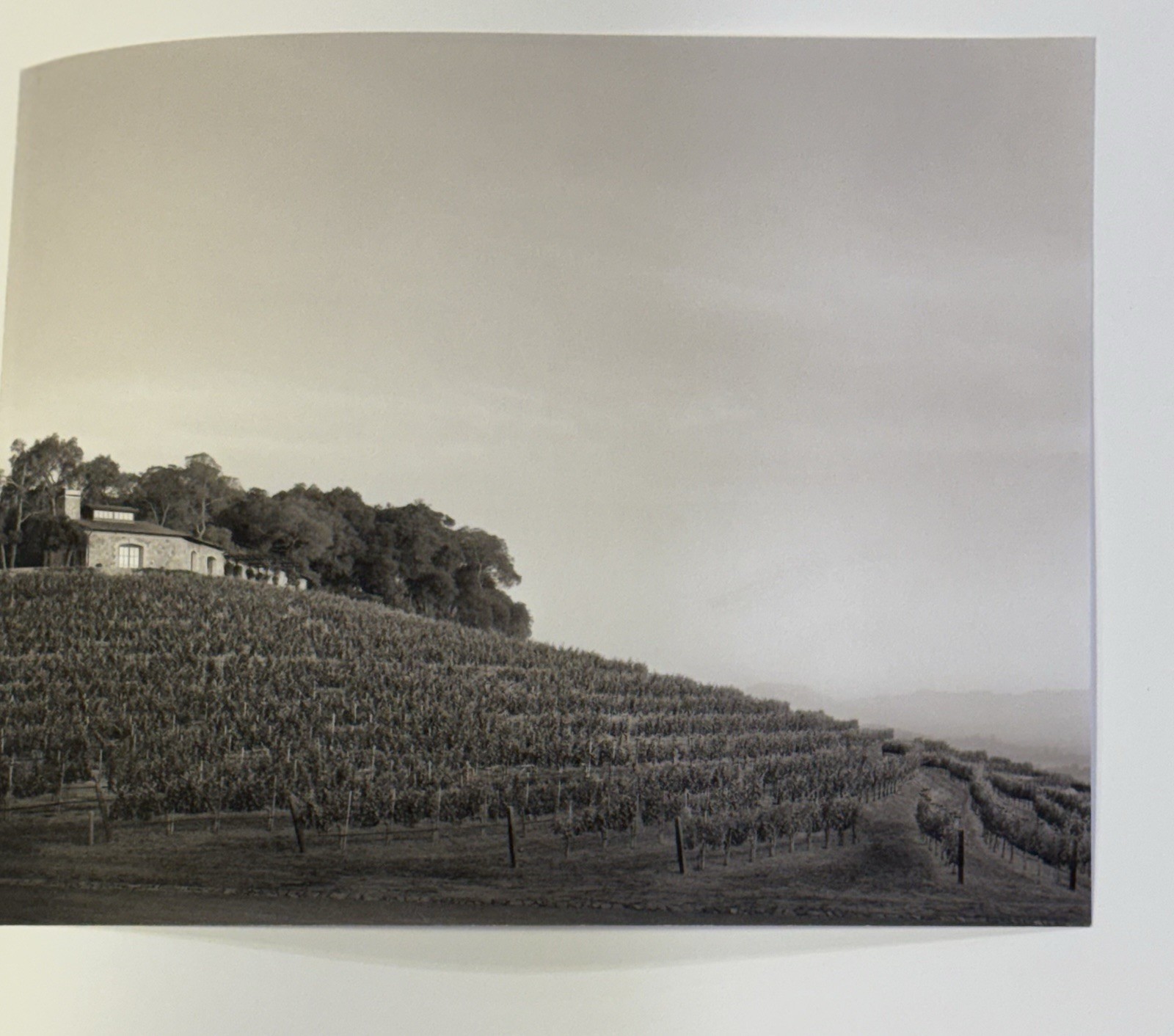 OBSERVATIONS FROM THE HILLSIDE – HARLAN ESTATE SIGNED LIMITED EDITION 76/250