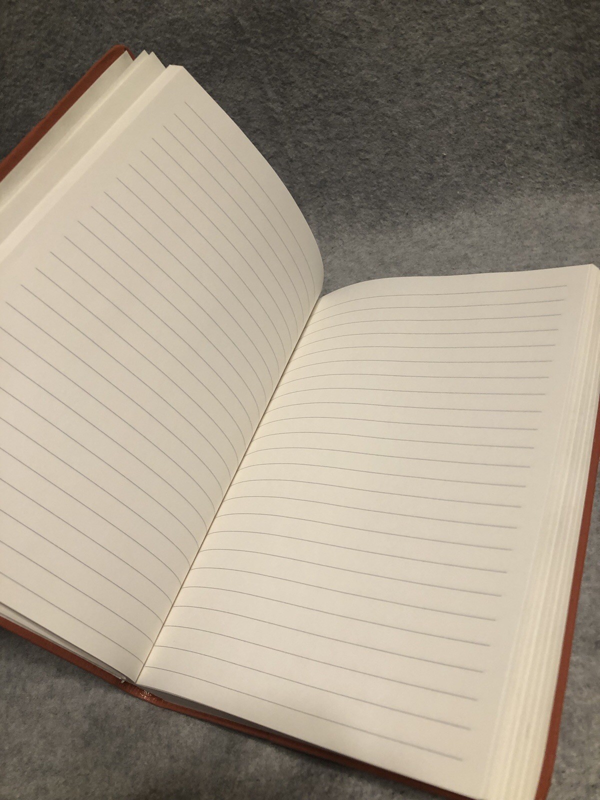 Embossed Medallion Journal Notebook Blank Lined Pages Orange Hardcover