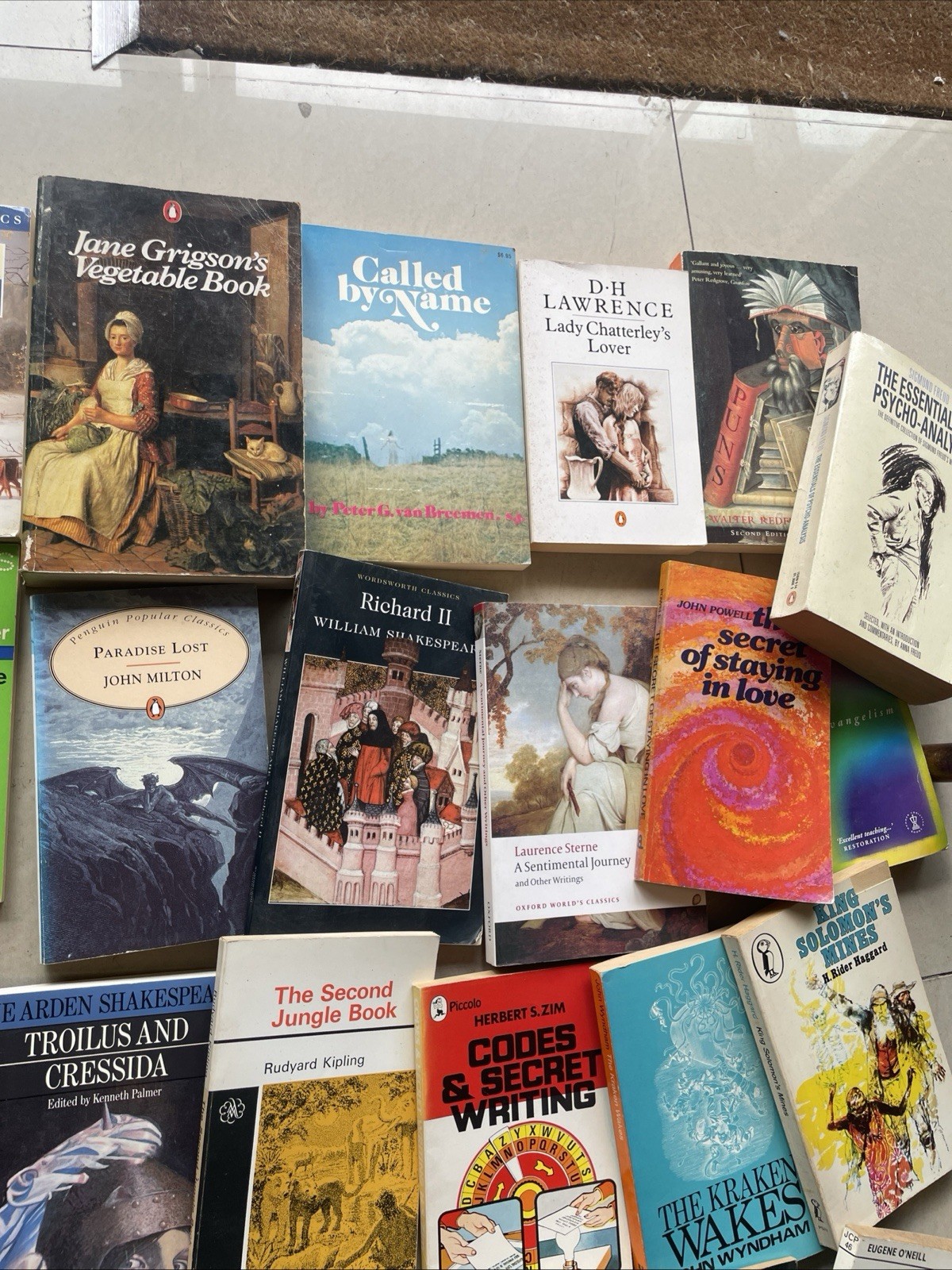 Job Lot 39x Vintage Penguin/Pelican Mixed Paperback Books Wordsworth Classic