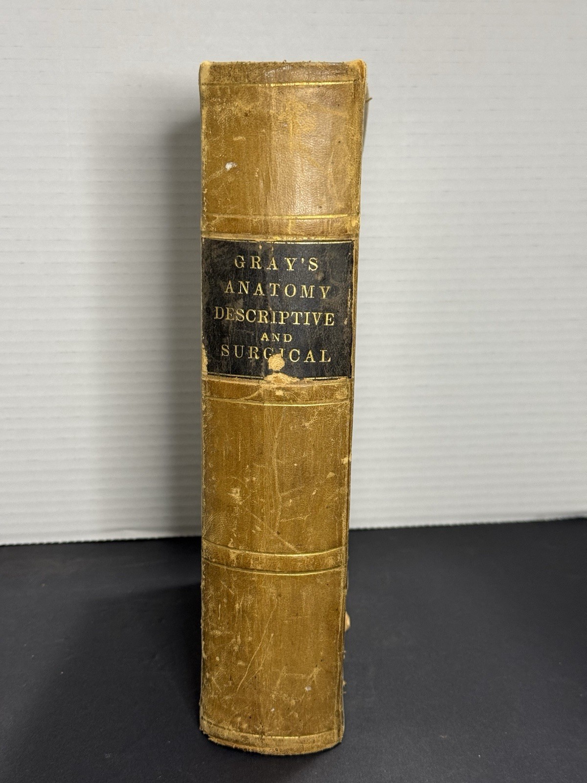 Rare 1883 Gray’s Anatomy Descriptive and Surgical by Henry Gray Antique Book