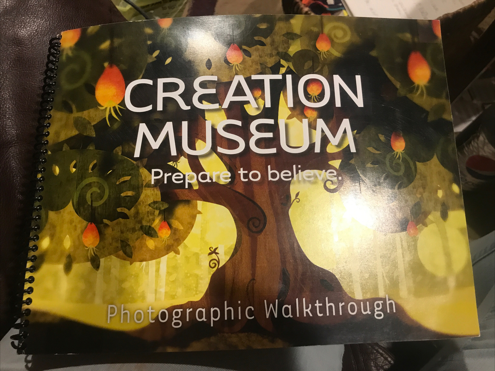 THE CREATION MUSEUM- BIBLE, GENESIS, PHOTO WALK-THROUGH Book