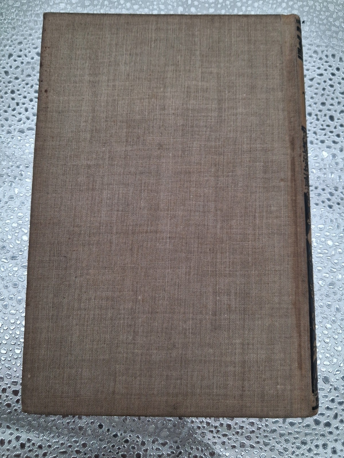 Hold the Fort – Alta Edition – Illustrated – Porter and Coates