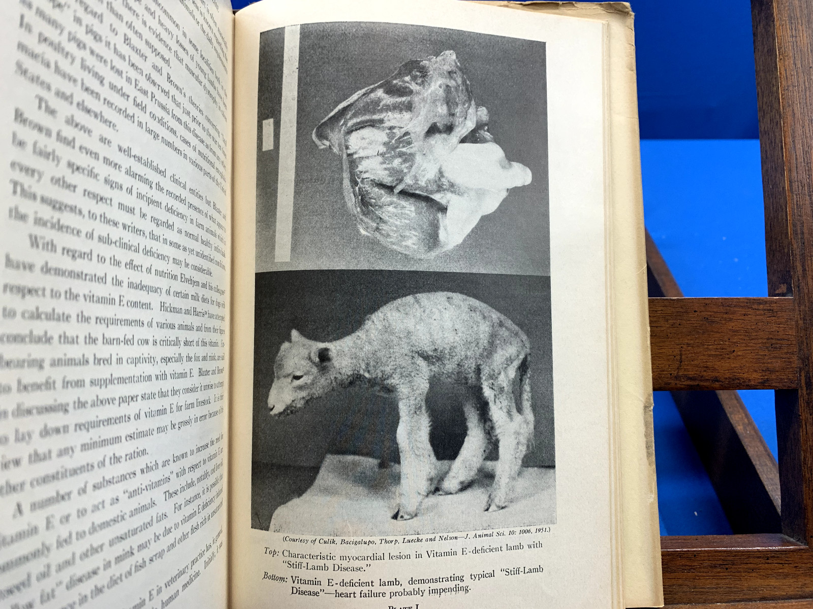 Alpha Tocopherol [Vitamin E] in Cardiovascular Disease- W.E. Shute & E.V. Shute