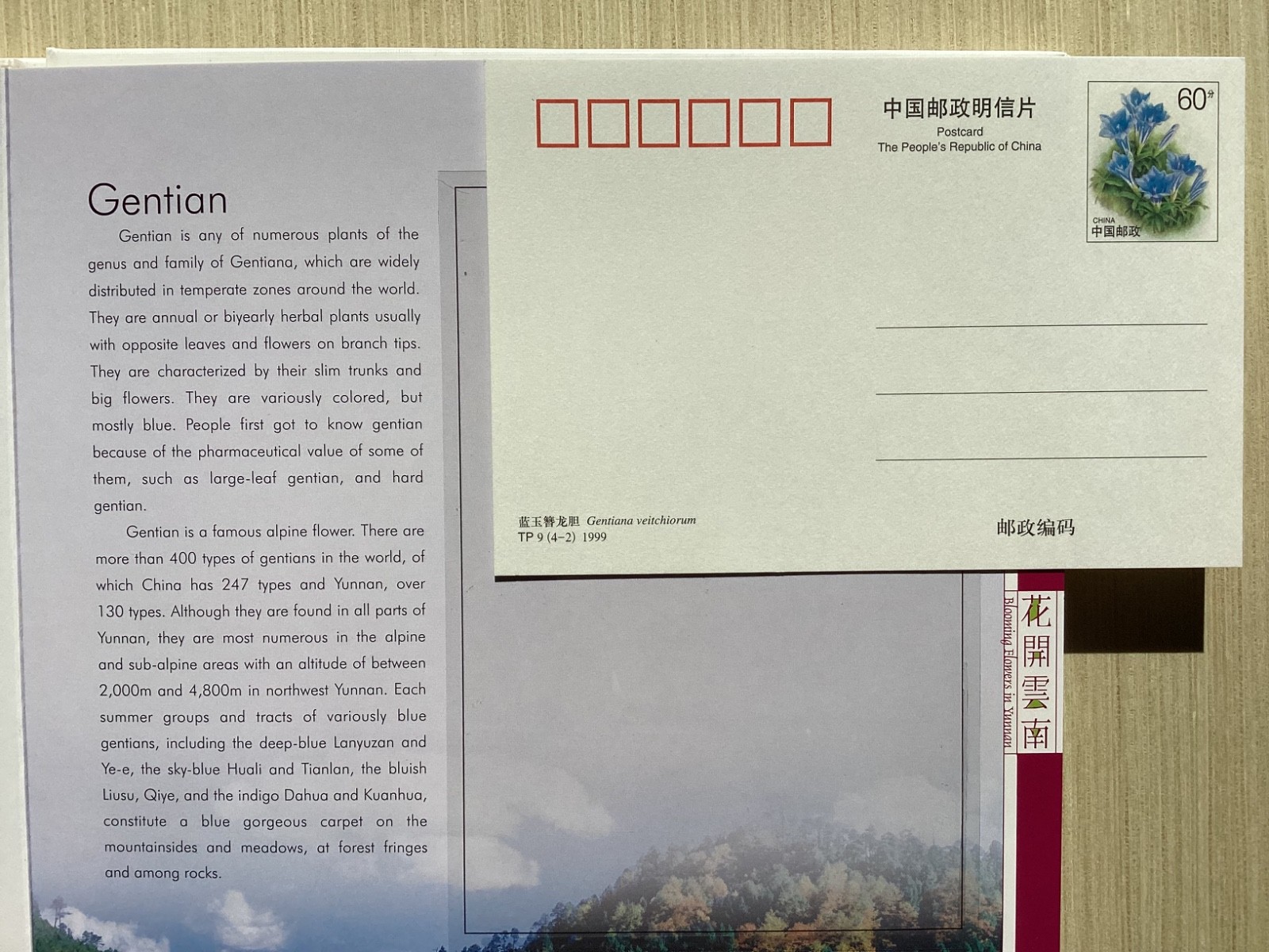 Blooming Flowers in Yunnan with MNH stamps China camellias etc in clamshell box