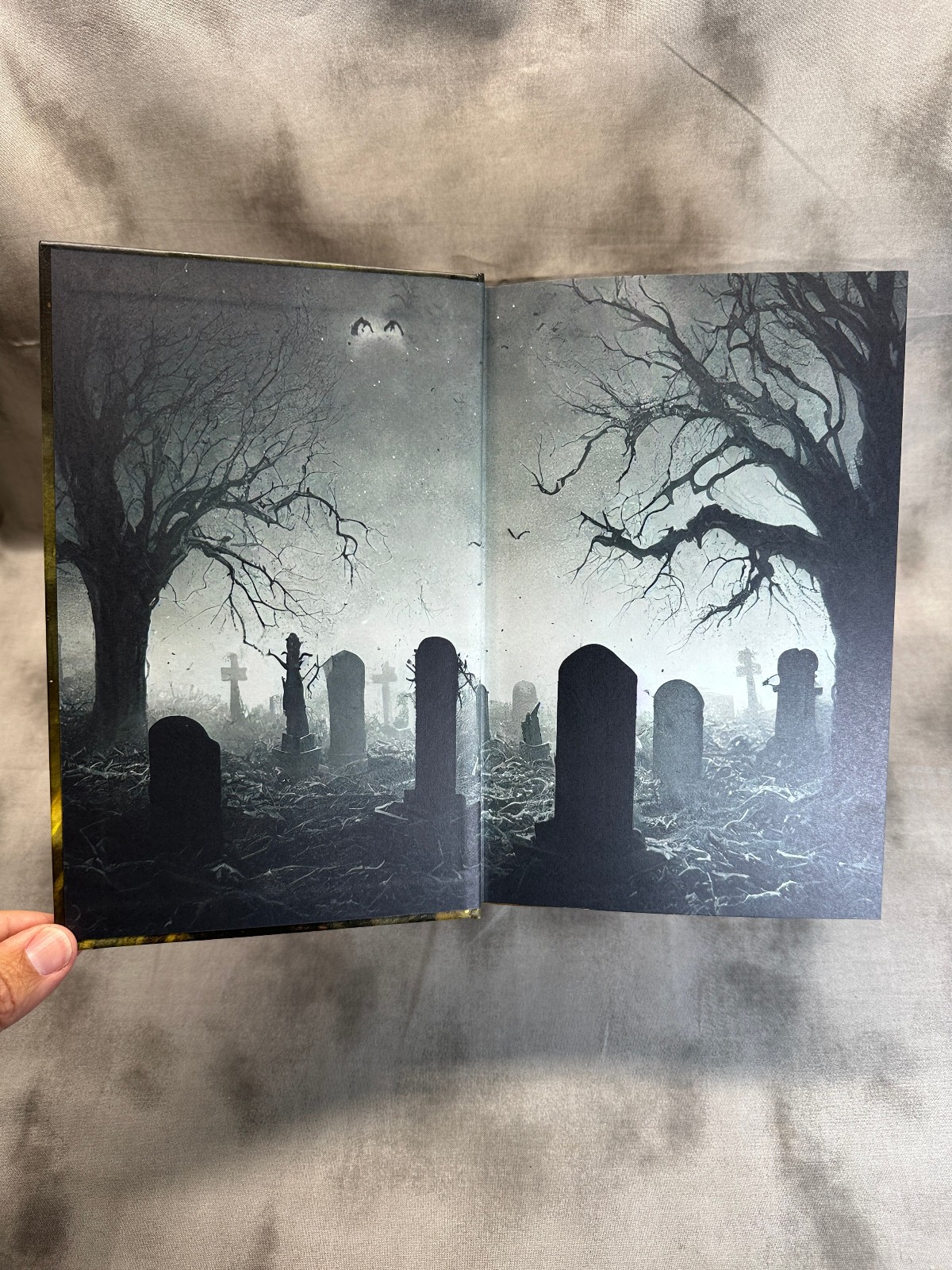 Edgar Allan Poe Classic Collection Arcturus HC Sprayed Edges Gothic Horror Raven