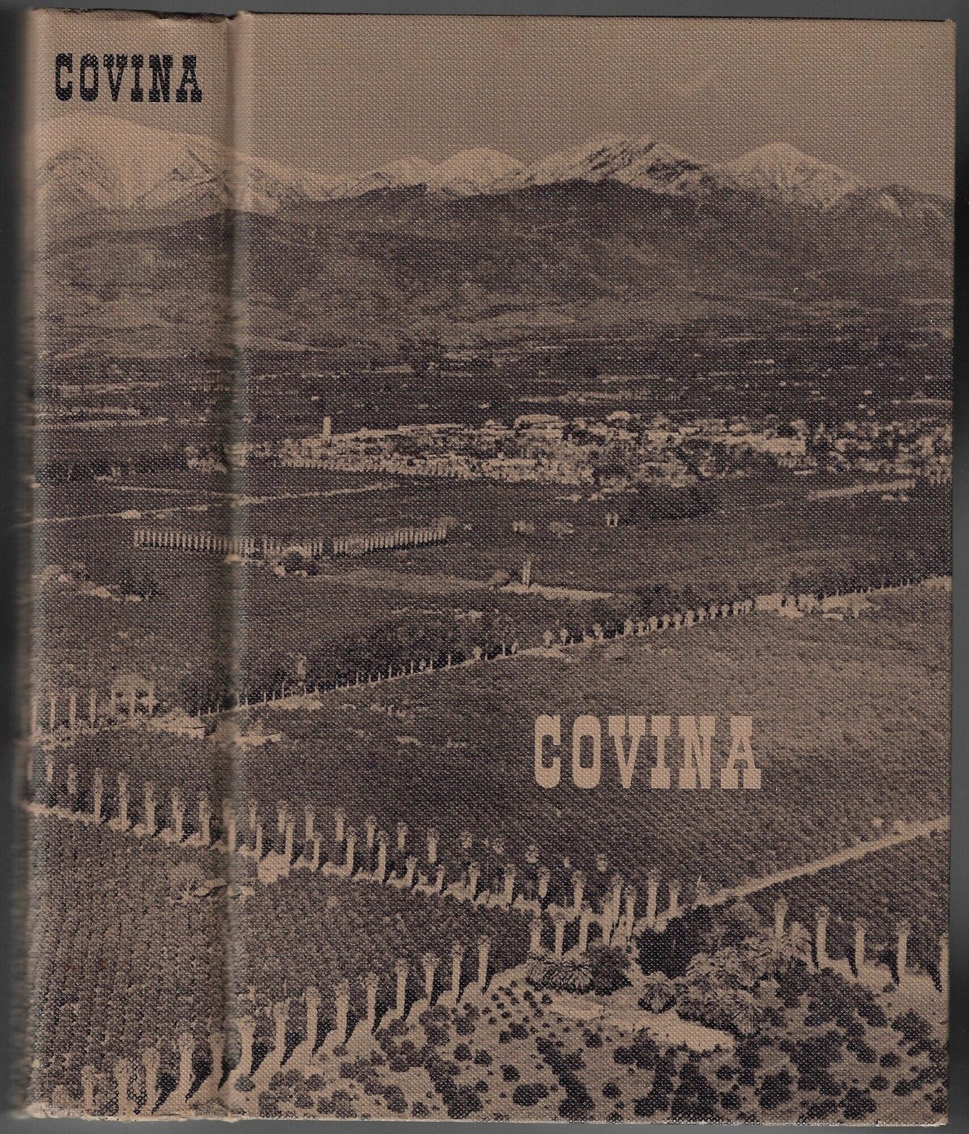 PFLUEGER Covina: Sunflowers, Citrus, Subdivisions 1964 California History