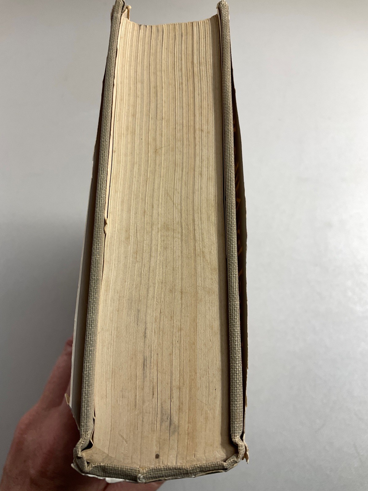 THE EGYPTIAN 1949 Mika Waltari 1st Ed w/ Dust Jacket — Ancient Egypt Epic
