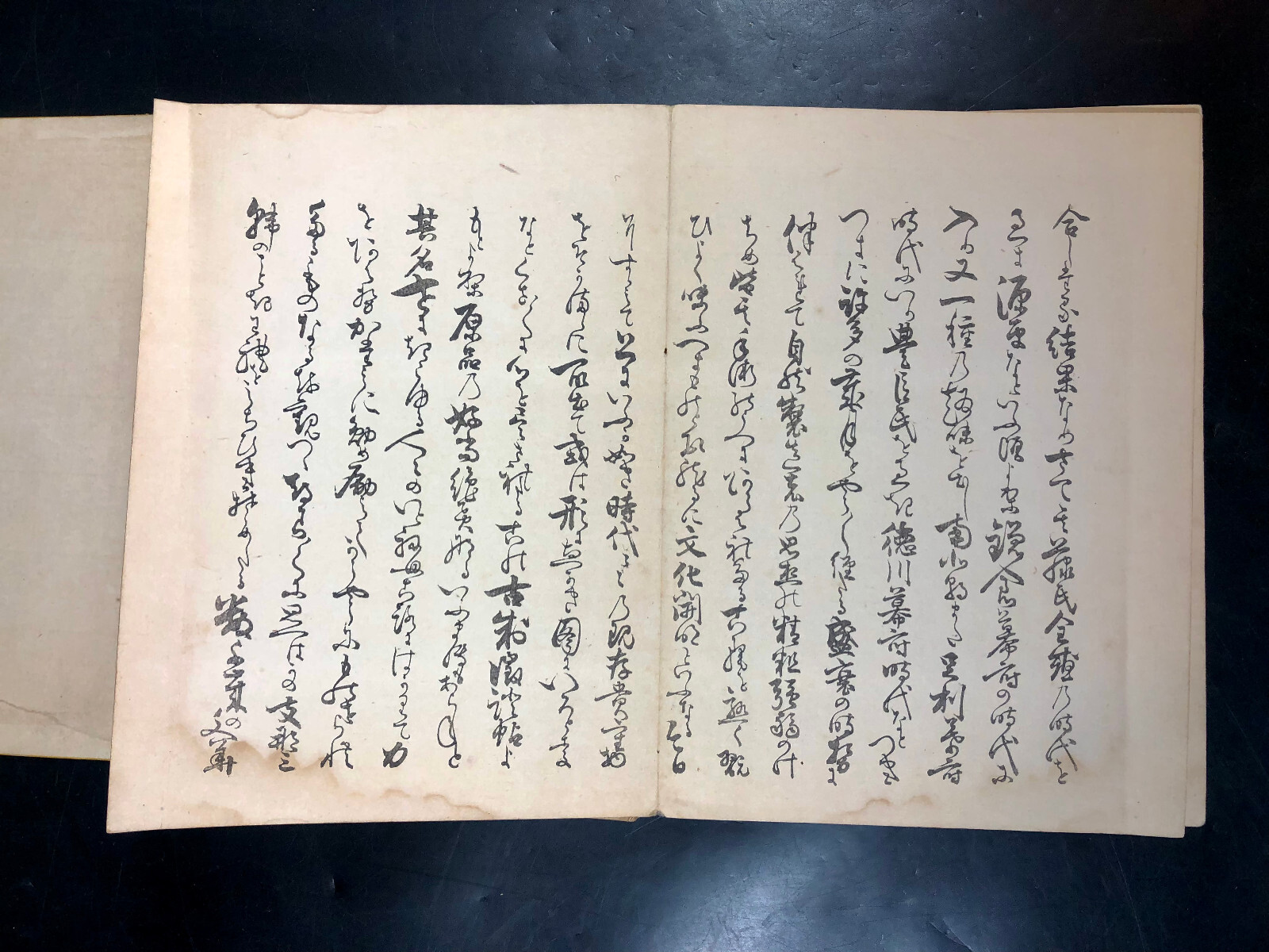 1893 Kosei Chyosho No. 1 ~ Japanese Woodblock Multicolor Printing Japan