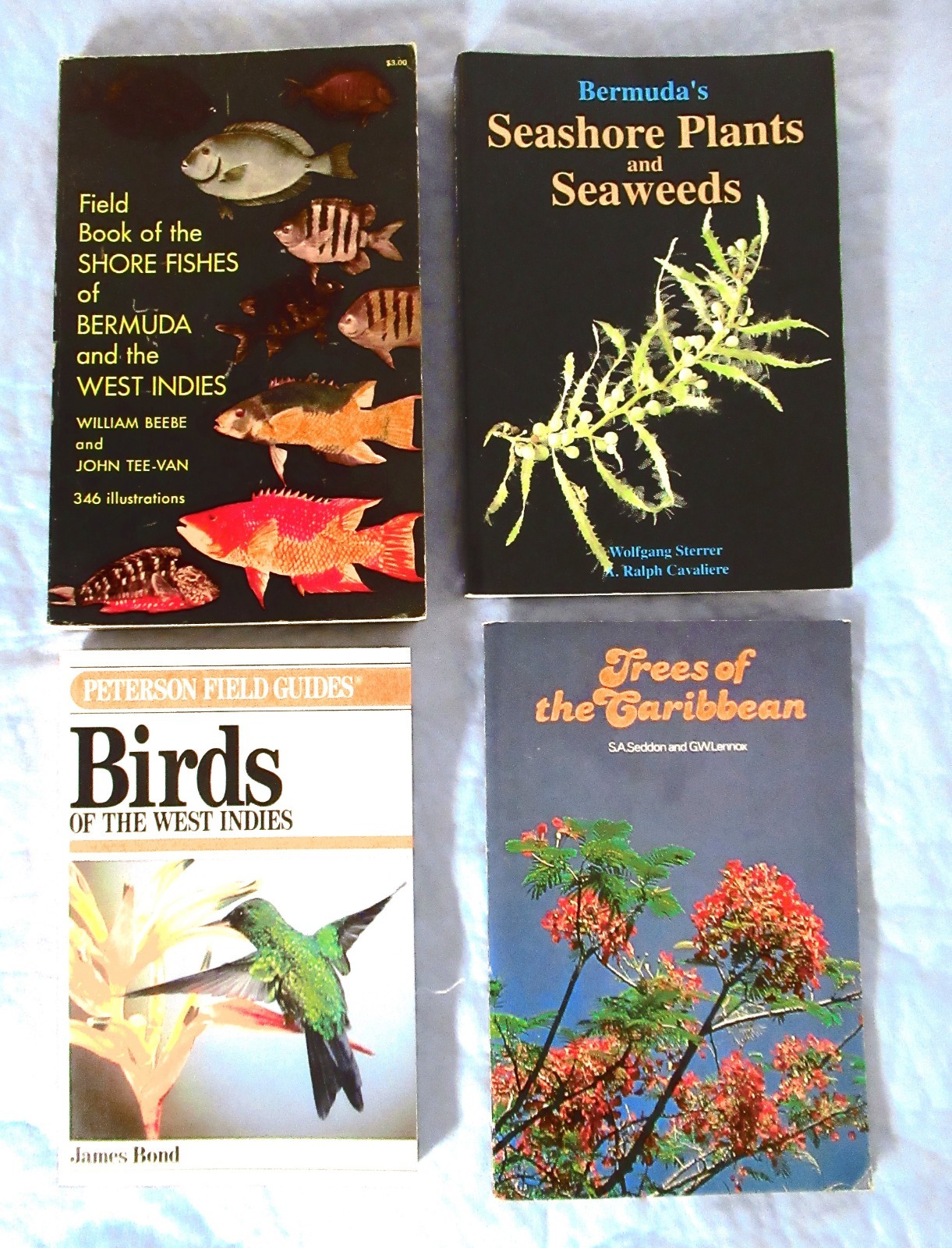 4 Field Guides BERMUDA’S SEASHORE PLANTS & SEAWEEDS Sterrer SHORE FISHES Beebe +