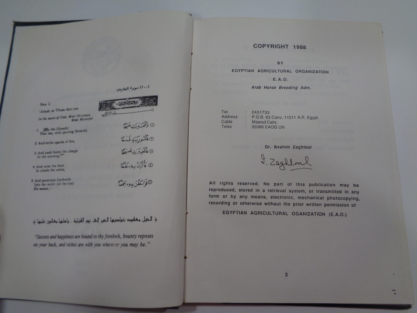 Arabian Horse Stud History Egyptian Agricultural Organisation Vol. V1 1989
