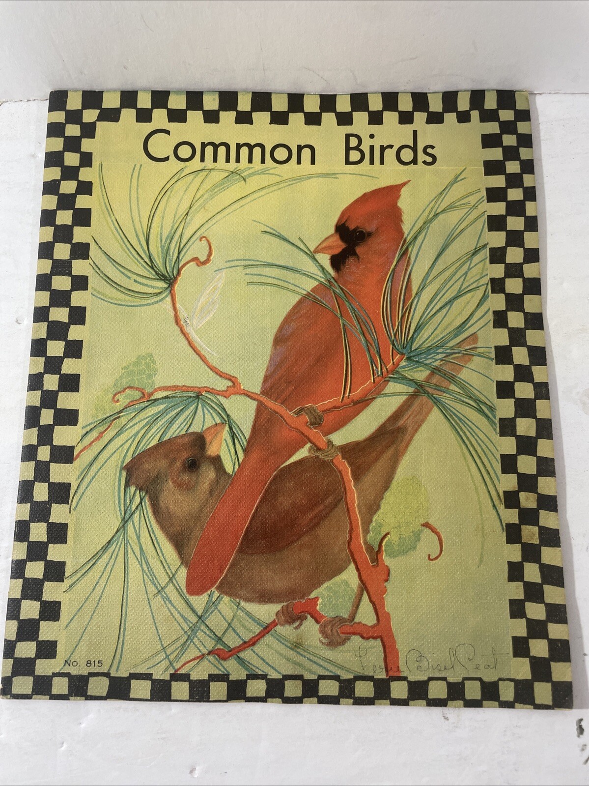 Common Birds Color Illustrations By Fern Bisel Peat 1931 Frank North Shankland