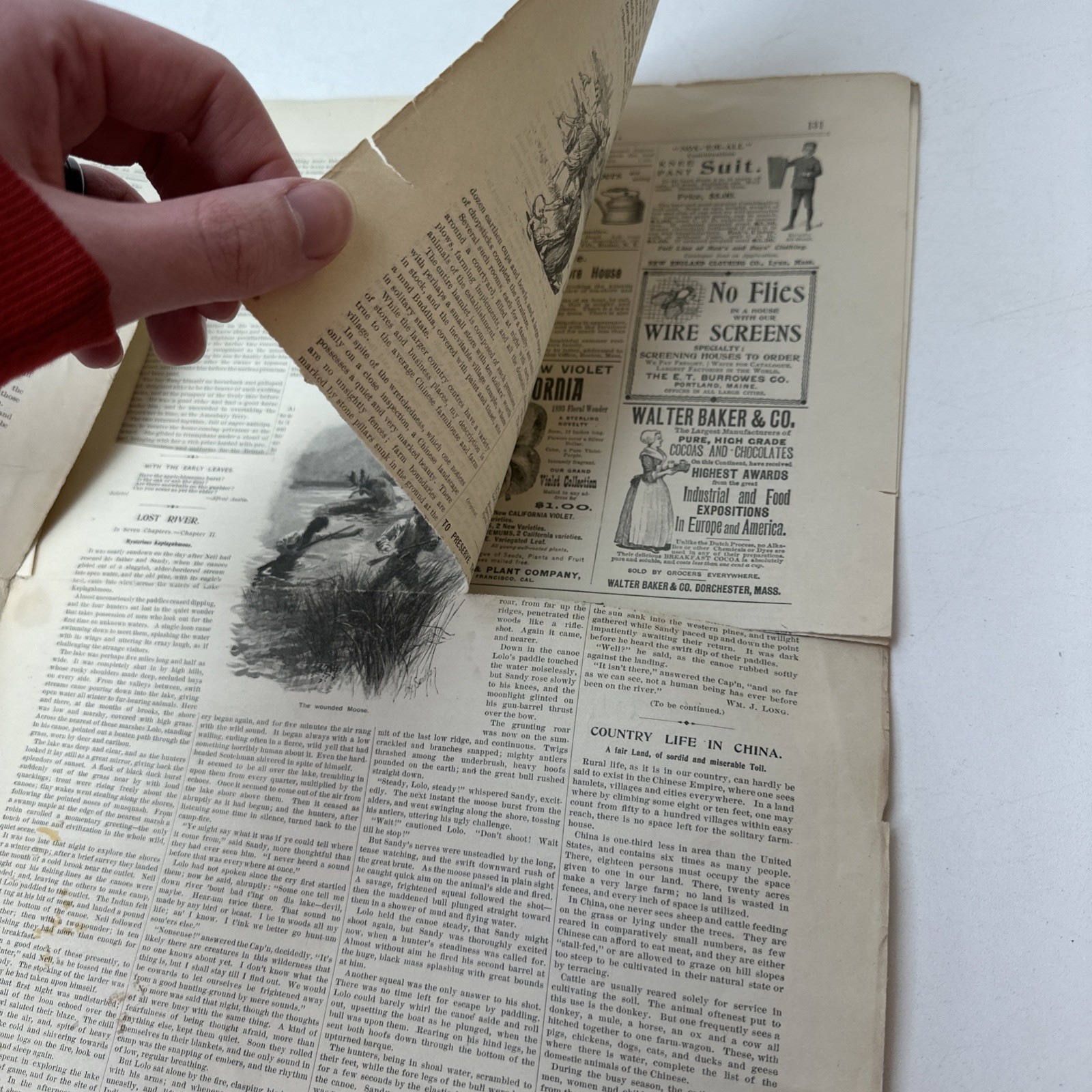 The Youth’s Companion July 4th 1895, New Year’s 1901 Lot of 5 Antique Magazines