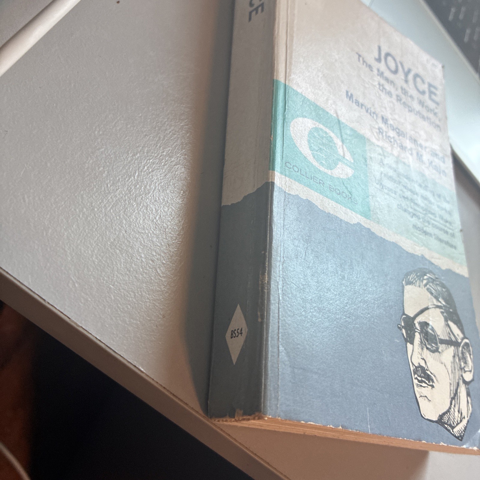 Joyce The Man, The Work, The Reputation Magalaner And Kain 1962 Paperback