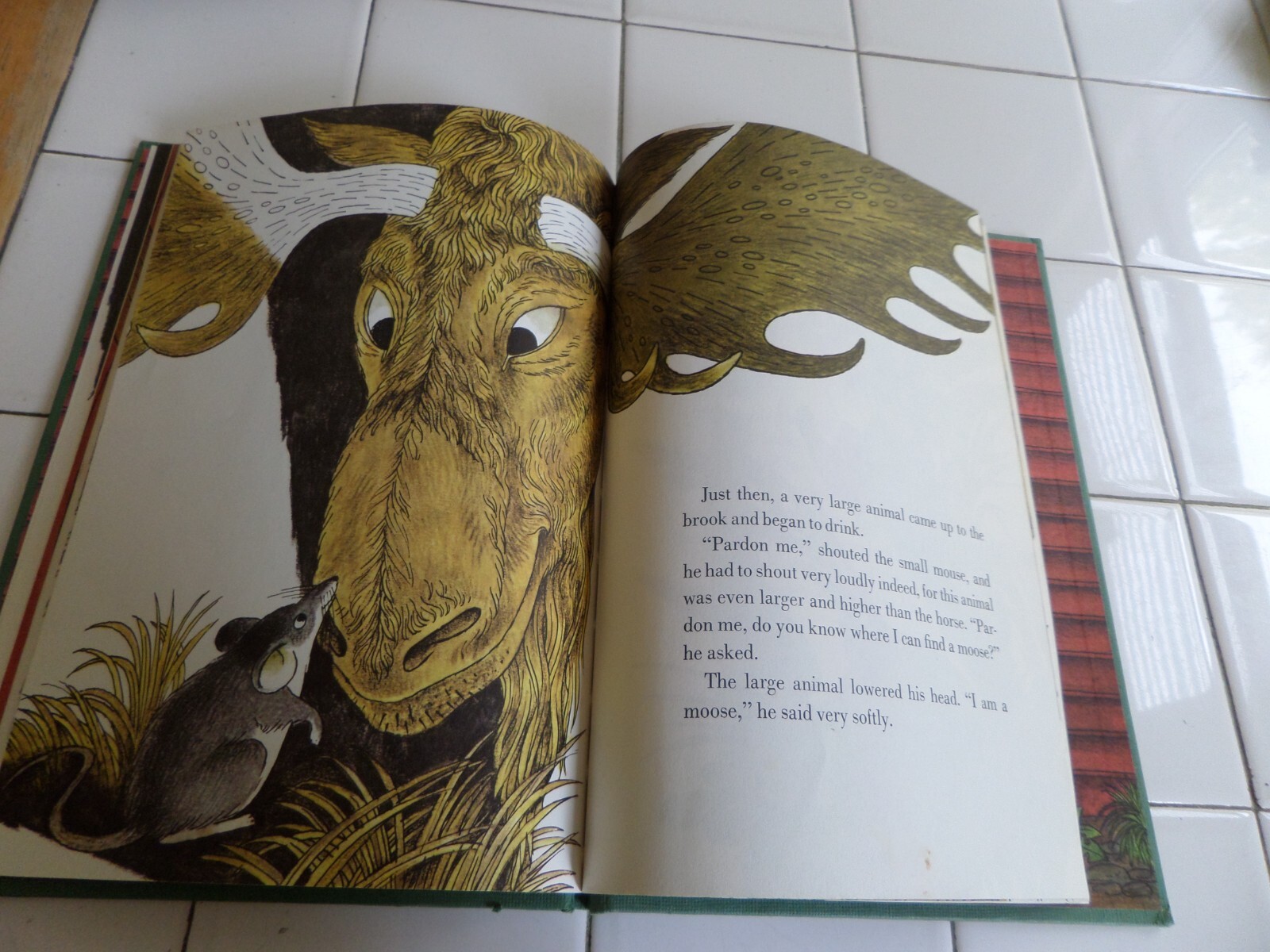 The Wee Moose, Parent’s Magazine Press,1964(VINTAGE Children’s)