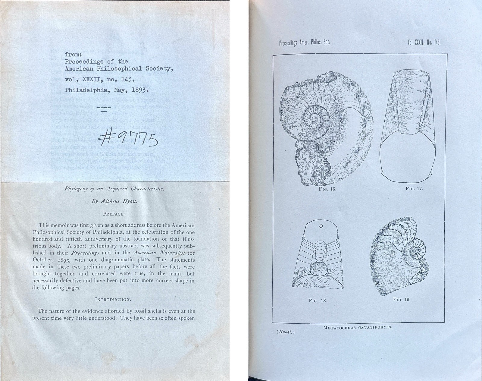 Hyatt 1895 Phylogeny Acquired Characteristic Paleontology Fossils Cephalopods HC