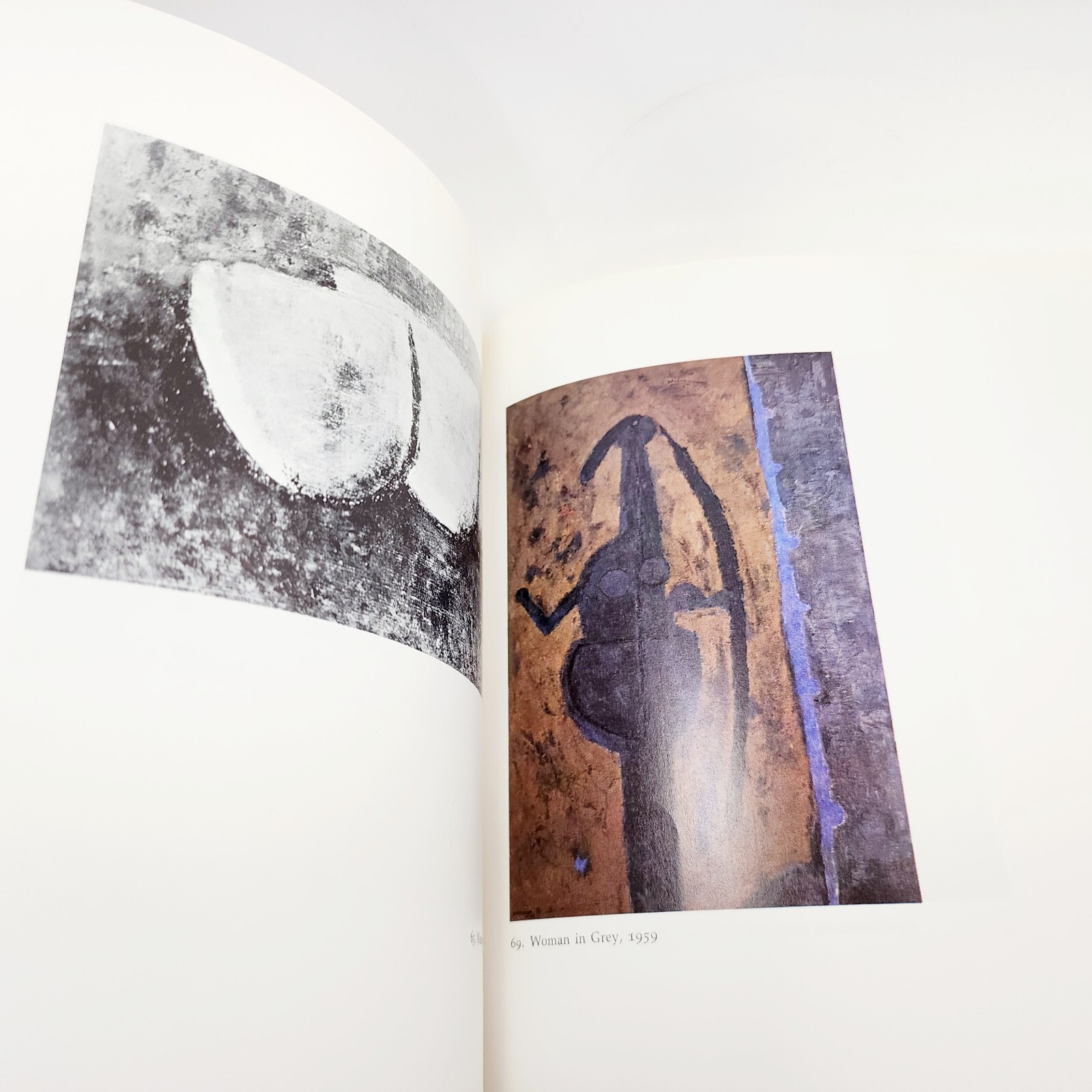 Rufino Tamayo A Commentary by the Artist Phoenix Art Museum Vtg 1968 Fine Art !!