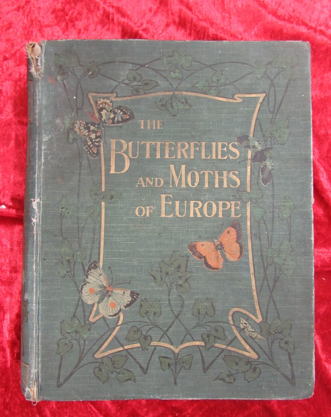 THE BUTTERFLIES AND MOTHS OF EUROPE by W. F. KIRBY – CASSELL – Hardback