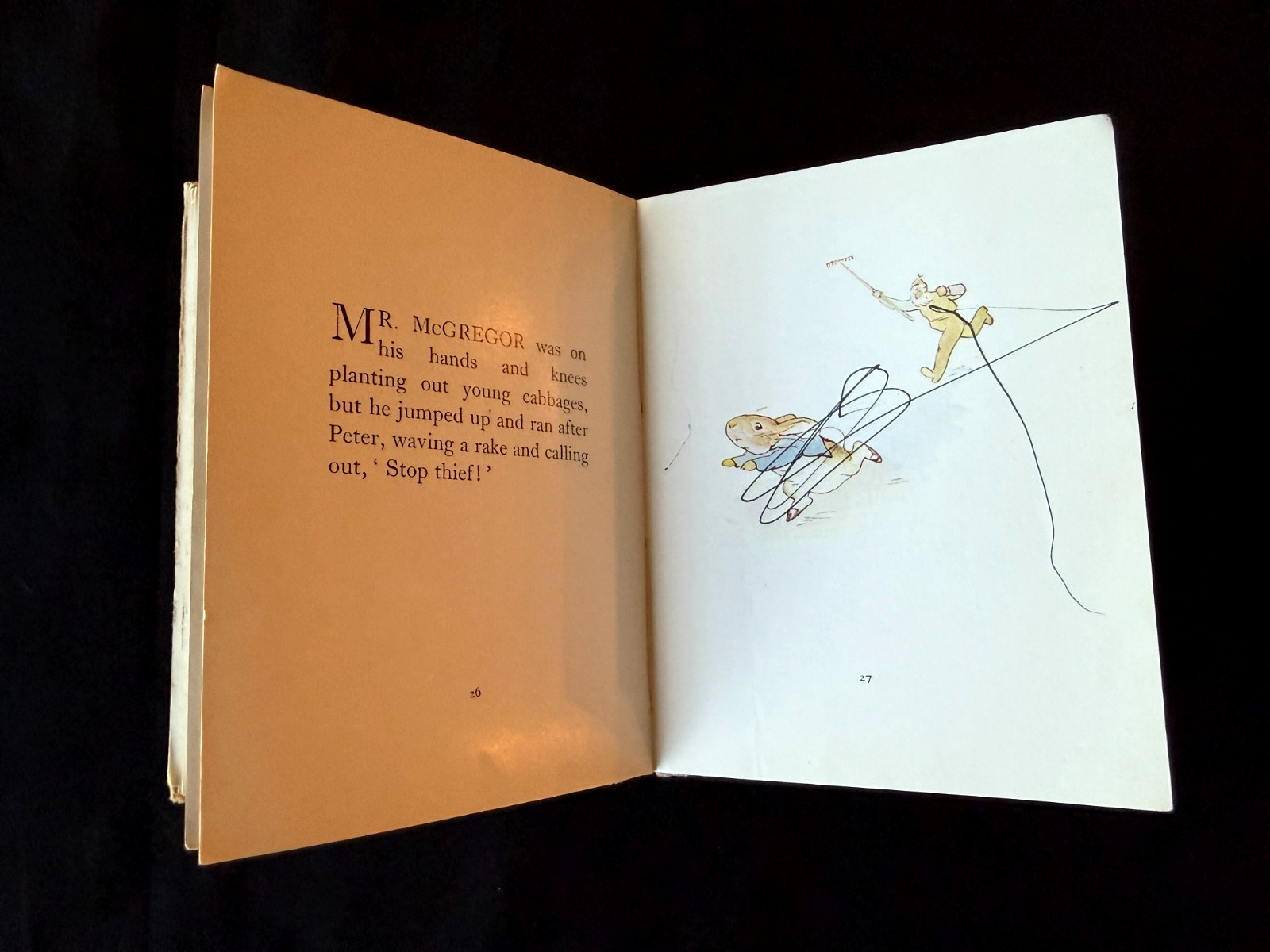 Vtg The Tale of Peter Rabbit by Beatrix Potter First Edition HC F Warne & Co GBR