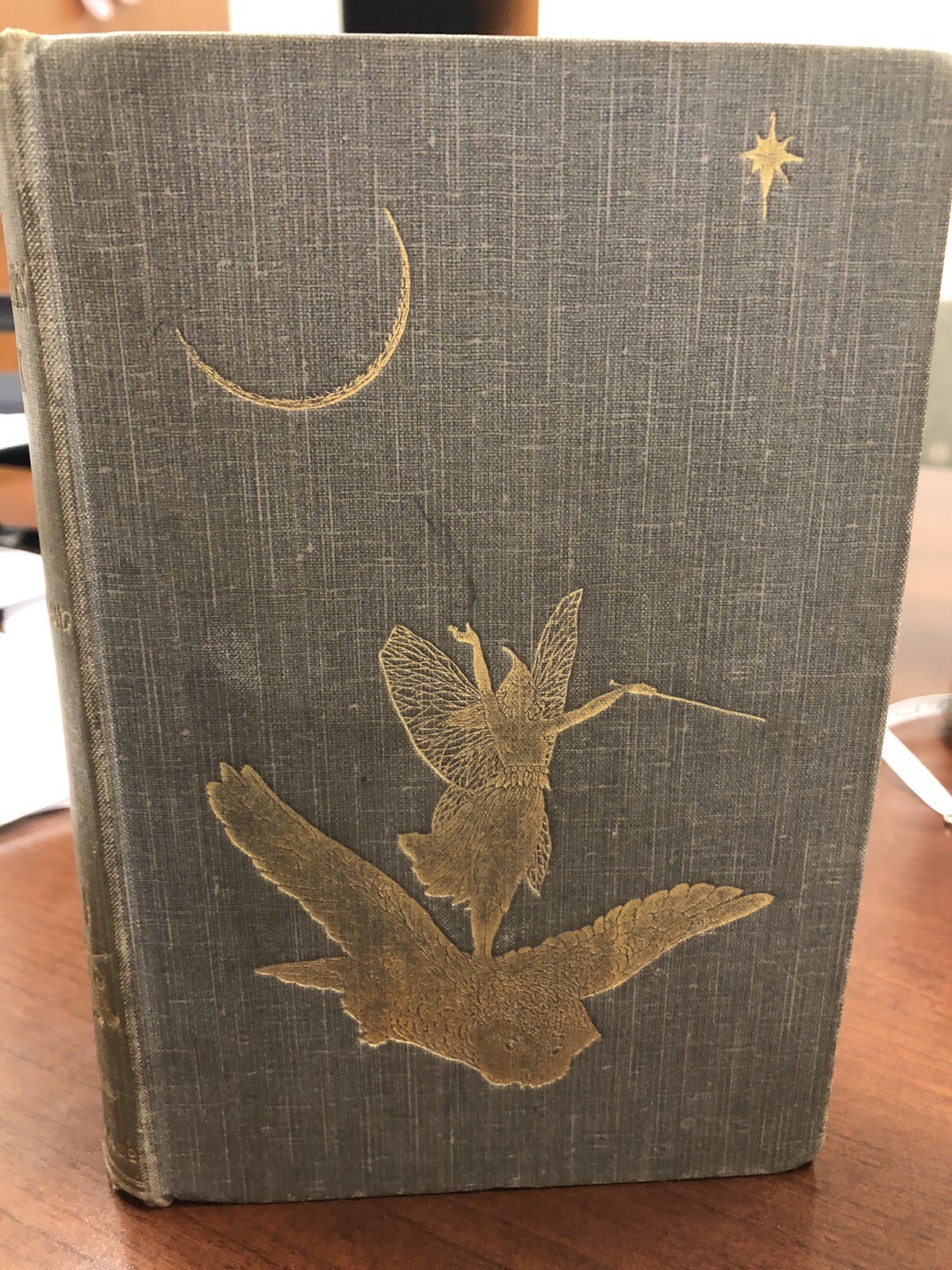 THE GREY FAIRY BOOK BY ANDREW LANG 1900 FIRST EDITION