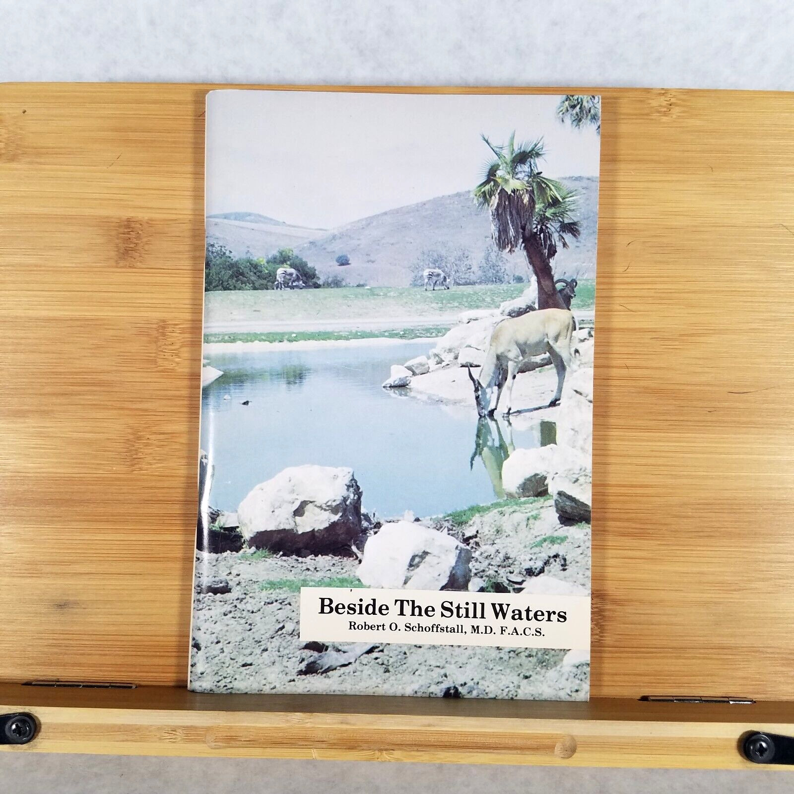 Beside the Still Waters – Stapled Paperback by Robert O Schoffstall -AUTOGRAPHED