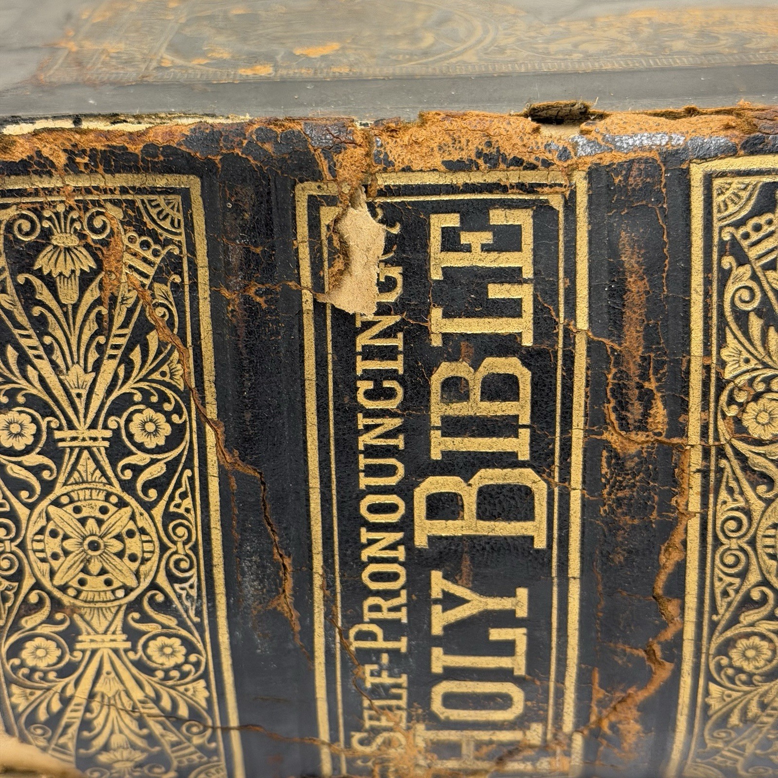 Antique 1895 Leather Bound Combination Edition Old & New Testament Family Bible