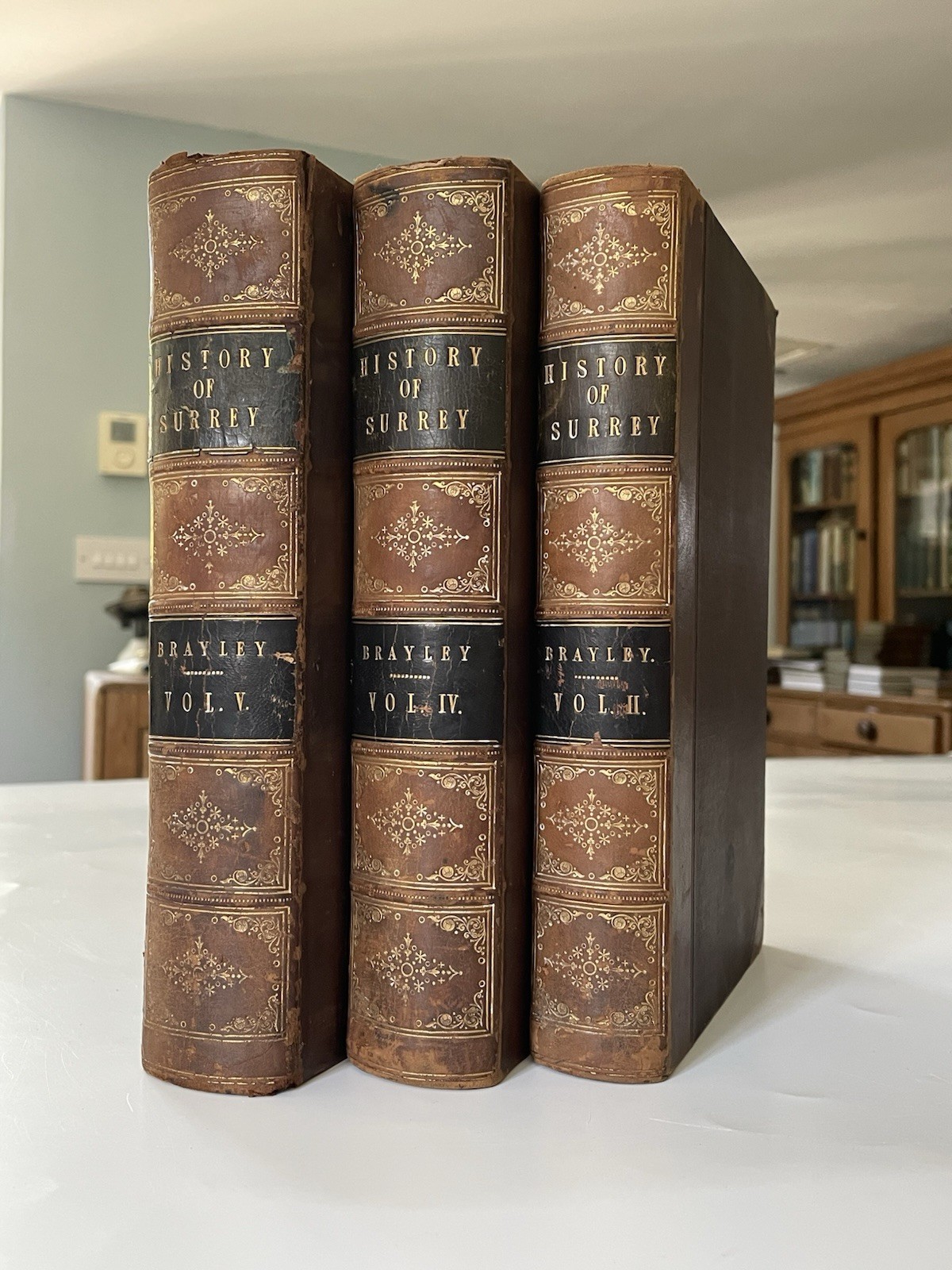 A Topographical History Of Surrey, Edward W Brayley, 3vols c.1840’s Plates