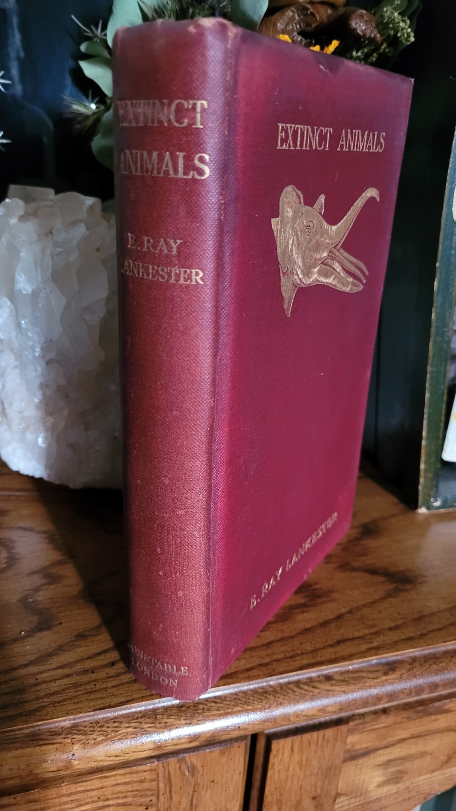 1906 Extinct Animals Lankester – Antique Nature Evolution Book Illustrated 1st