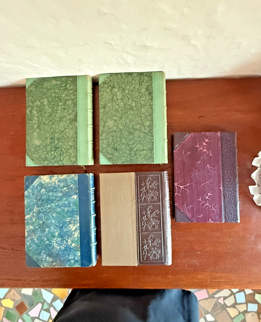 Lot of 5 Decorative Leather FINE BINDING books