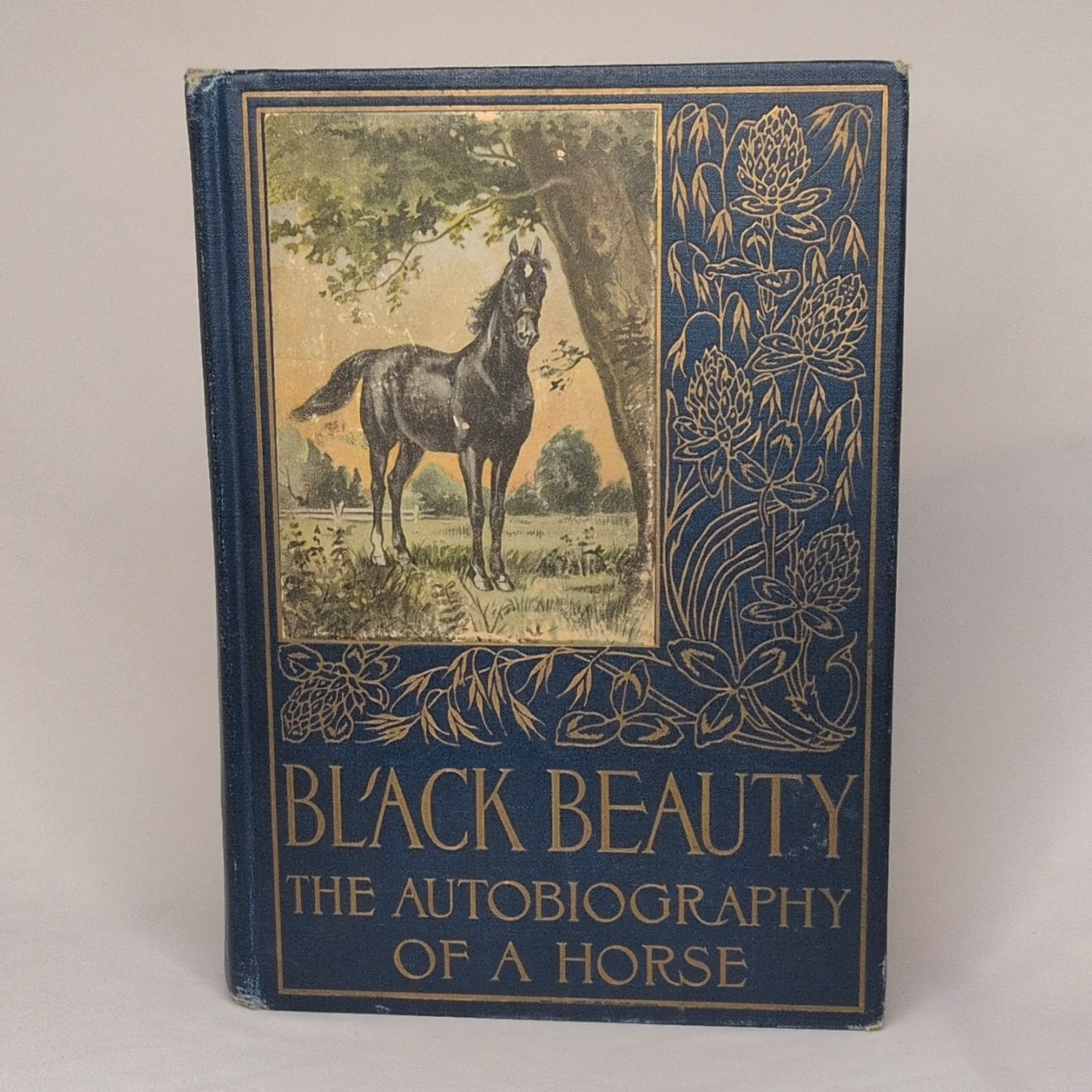 Black Beauty: The Autobiography of a Horse by Anna Sewell, 1915 First Ed.