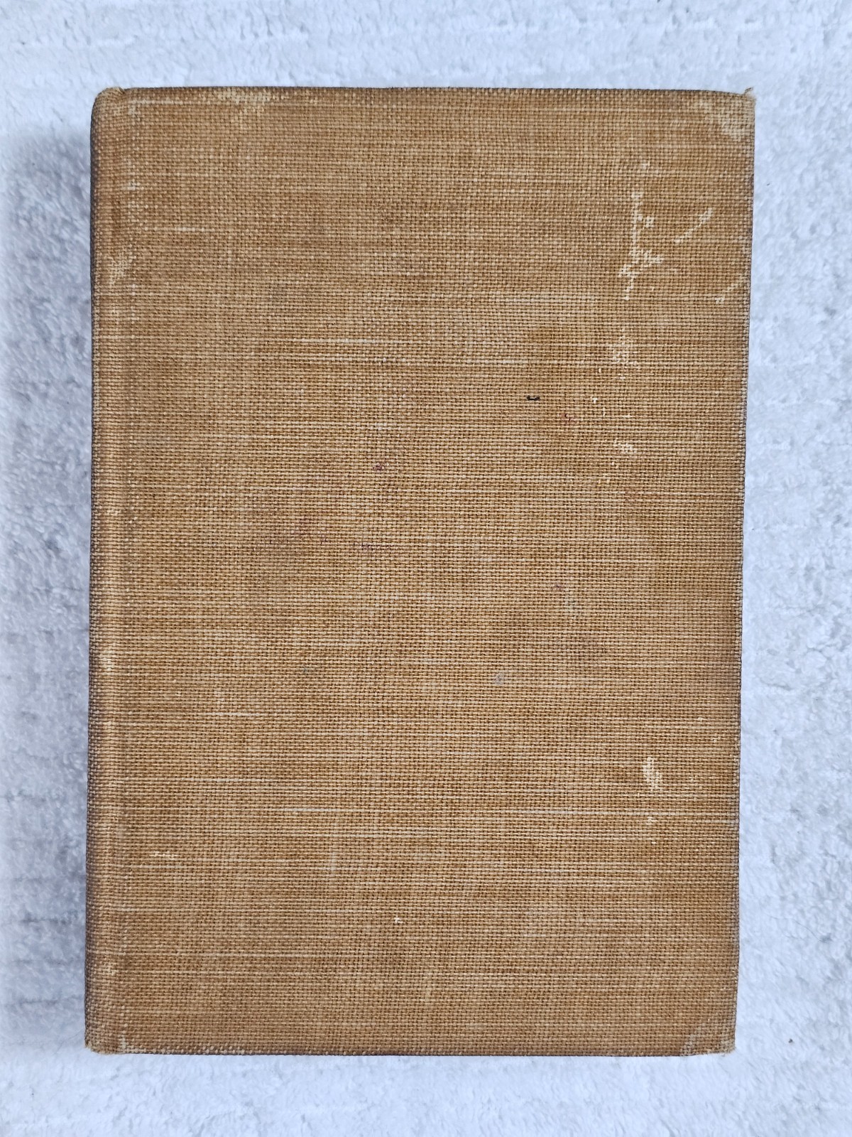 1899 The Fowler Beatrice Harraden First Edition Dodd Mead Art Nouveau