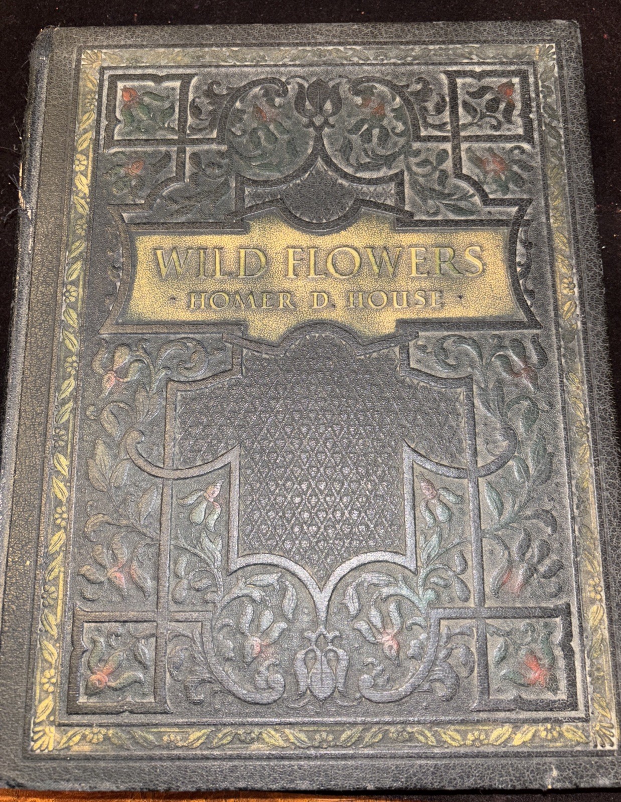 Wild Flowers Book Homer D. House RARE Version 1936 One Complete Volume -HC