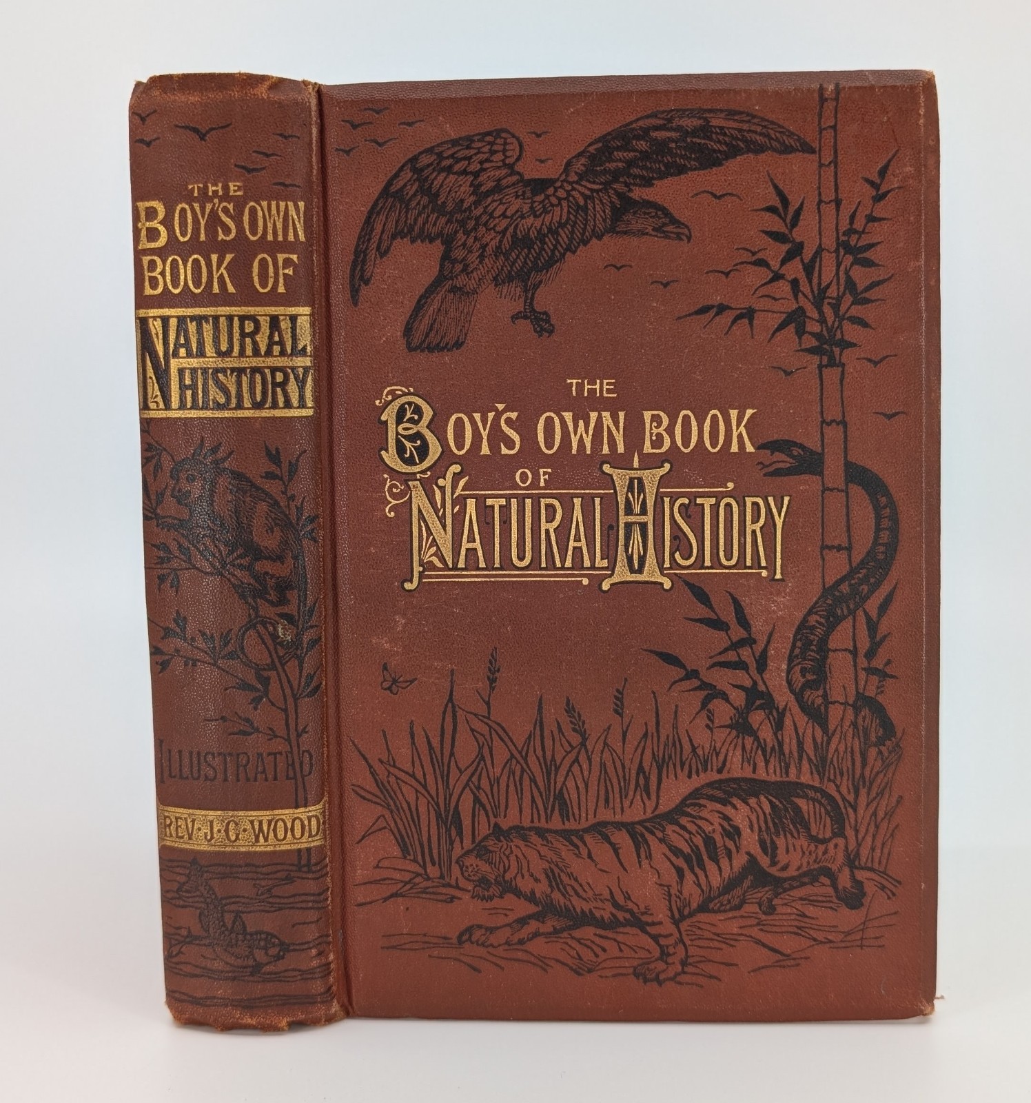 The Boy’s Own Book of Natural History c. 1882 Rev. J.G. Wood Antique Book