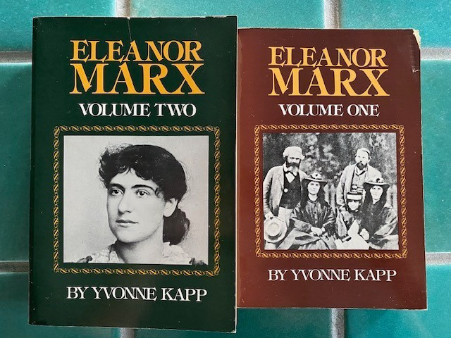 Eleanor Marx volume one 1 & two 2 by Yvonne Kapp Pantheon 1st American PB ed