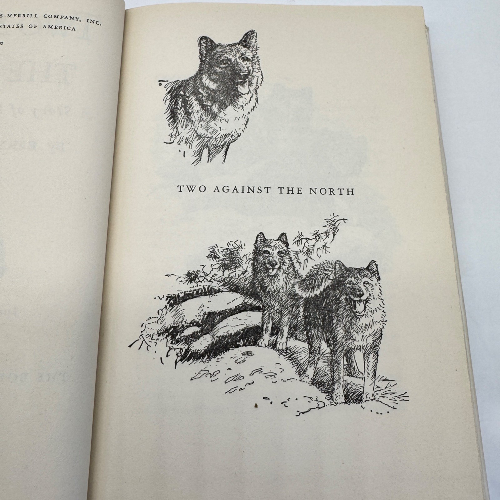 Two Against the North Bertrand Shurtleff 1949 First Edition w/ Dust Jacket Diana