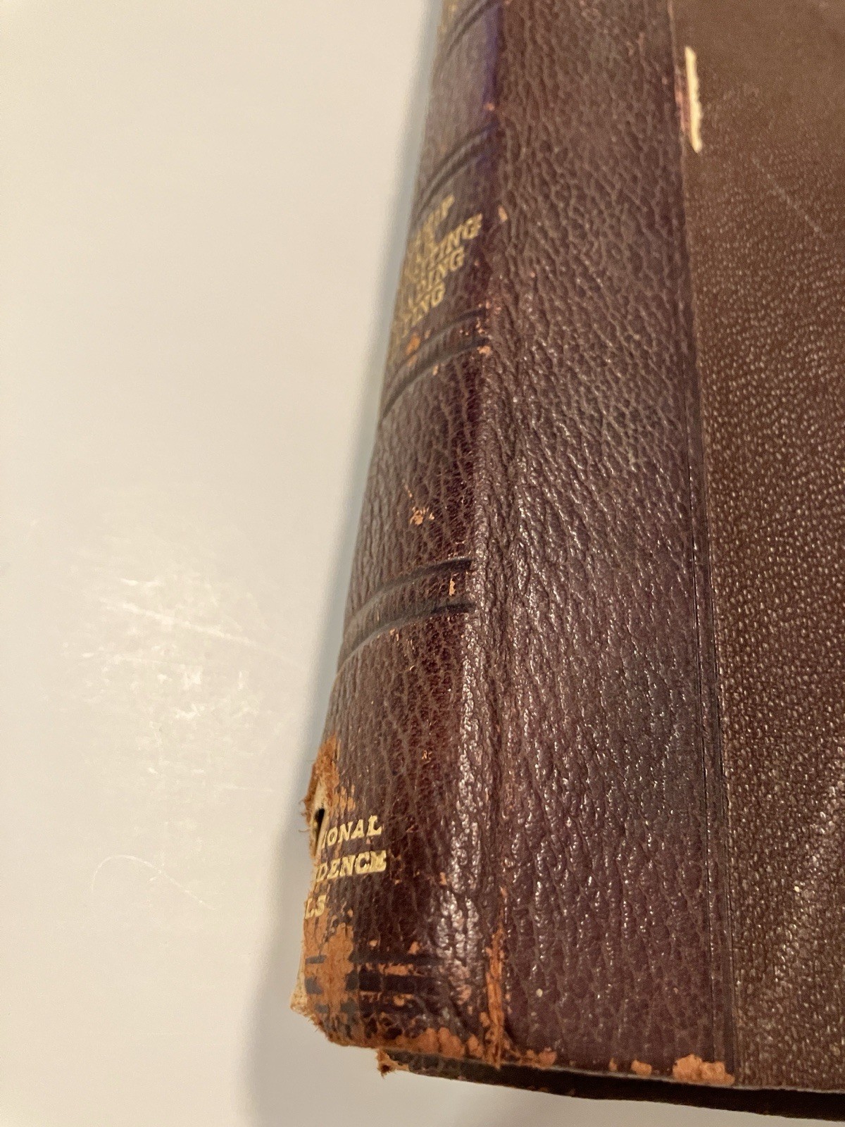 I.C.S. Reference Library 1906 Penmanship Grammar Letter Writing HOMESCHOOL