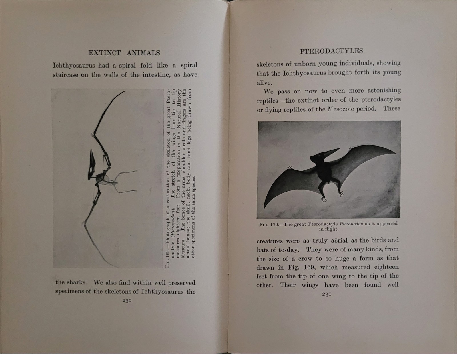1906 Extinct Animals Lankester – Antique Nature Evolution Book Illustrated 1st