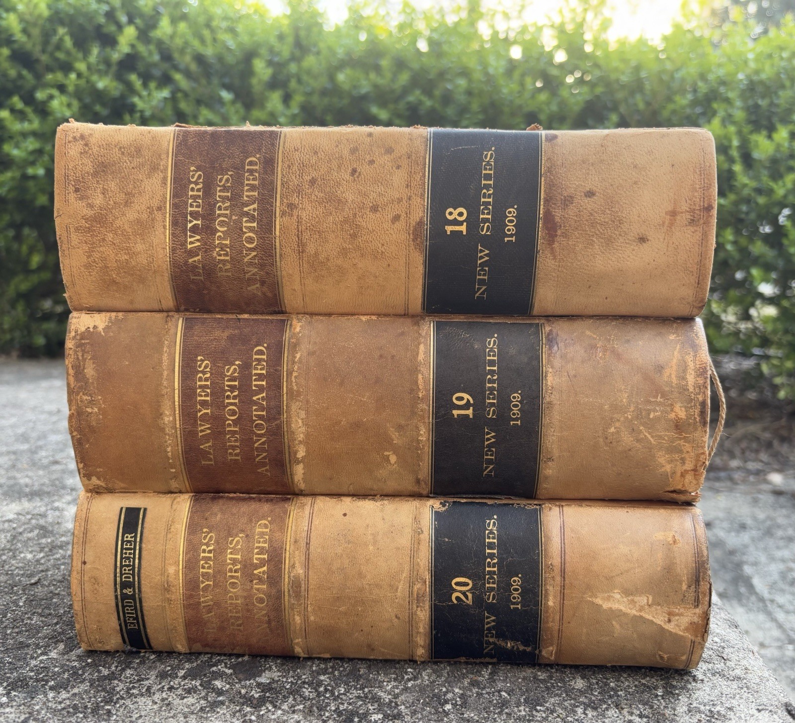 The Lawyers Reports Annotated 1909 18 19 & 20 Leatherback Books