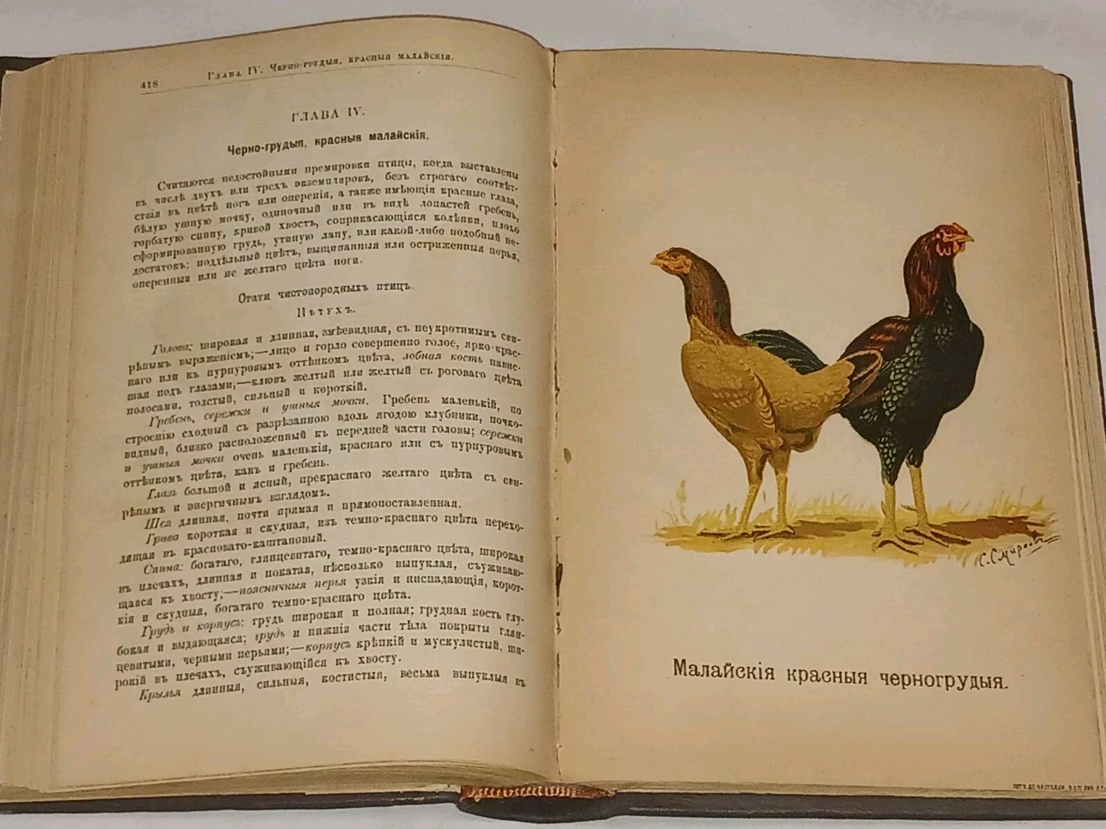 1895 ???????????? ?????? ???? ? ??????? ?????????? Antique book in Russian