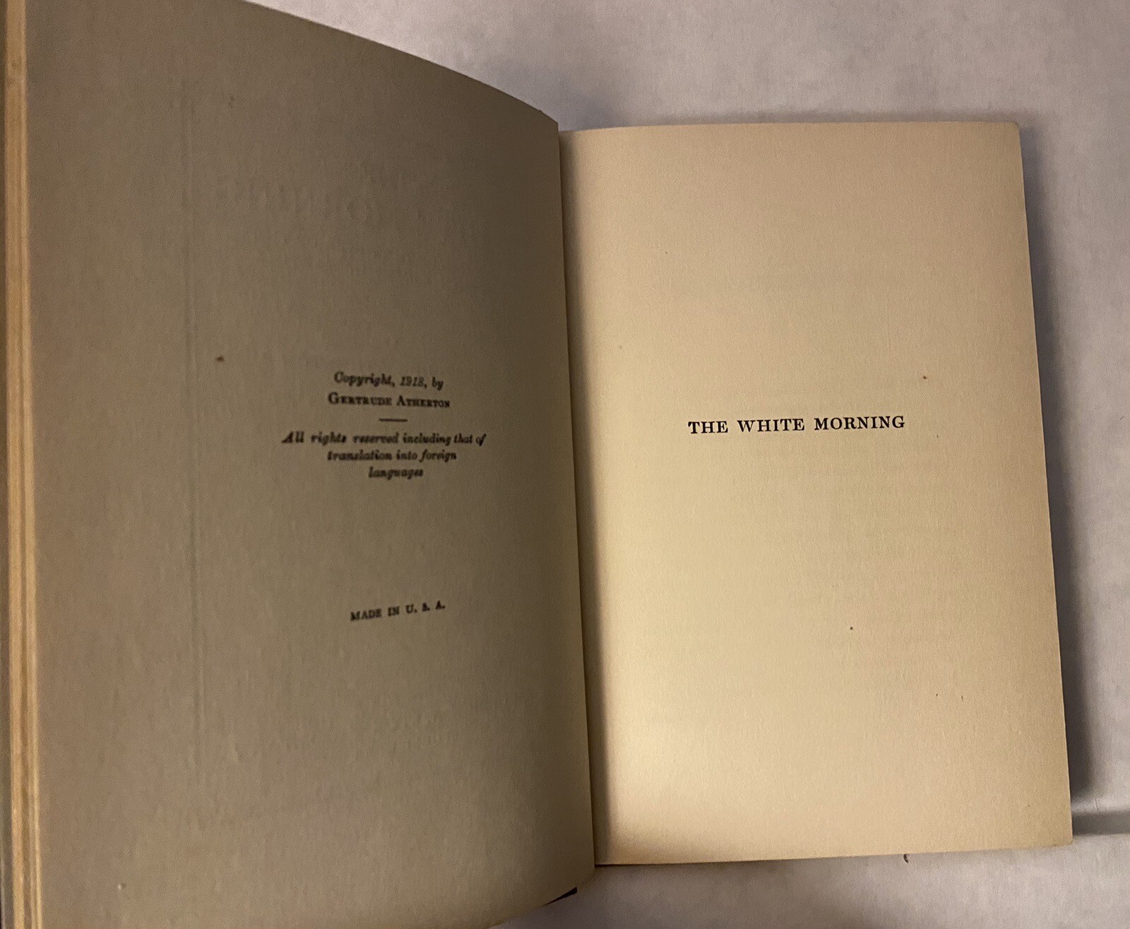 1918 THE WHITE MORNING by Gertrude Atherton ~ Frederick Stokes (HB) Sixth Prin
