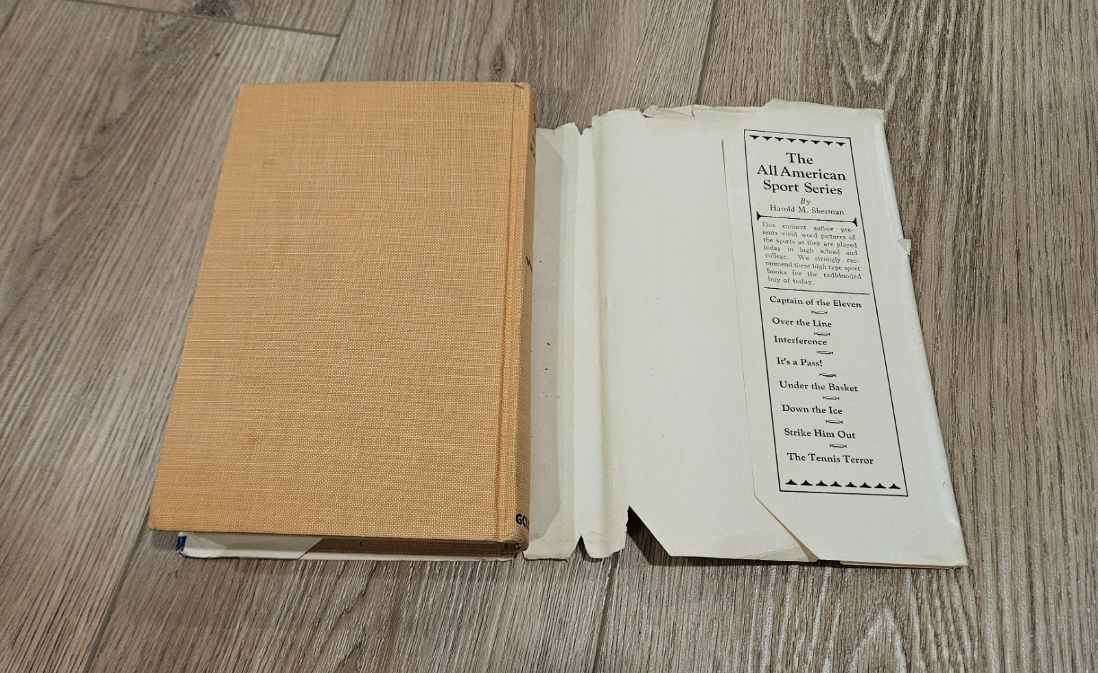 Young Franklin Roosevelt by Wayne Whipple HC DJ Goldsmith Publishing Co 1934