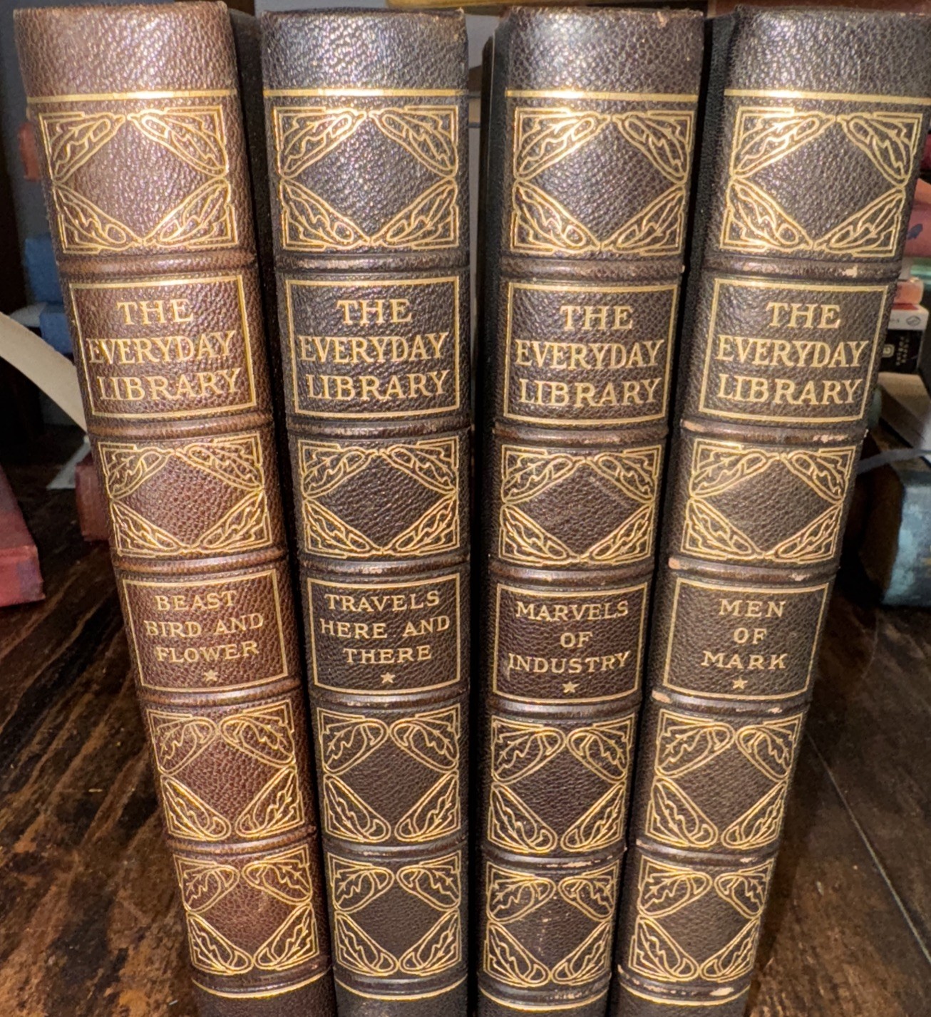4 Antique 1916 Everyday Library for Young People,Illustrated,Gilt Edges,Titling