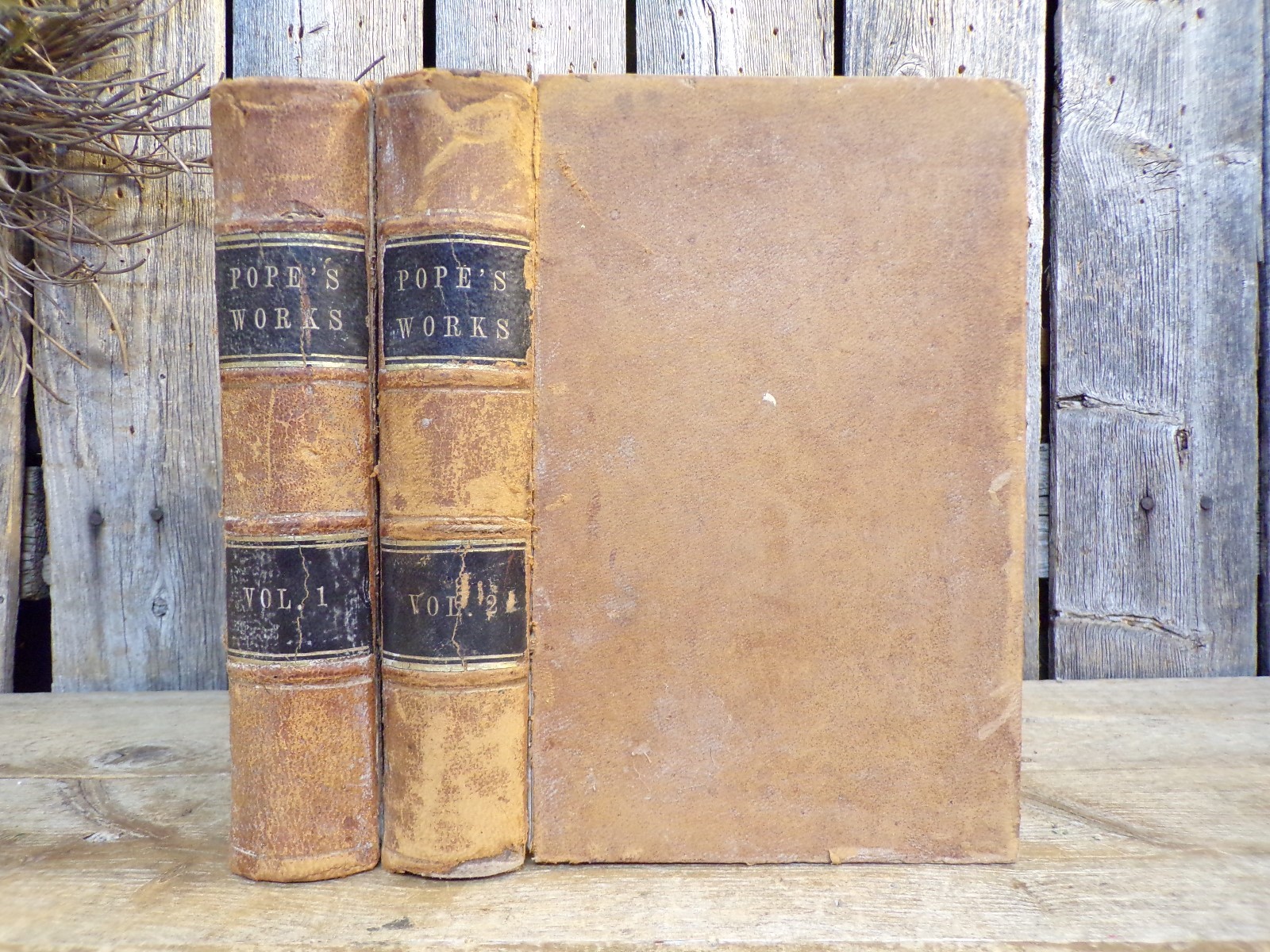 Pope’s Complete Poetical Works ~ 2 Vols ~ Silas Andrus and Son ~ 1851 ~ Leather