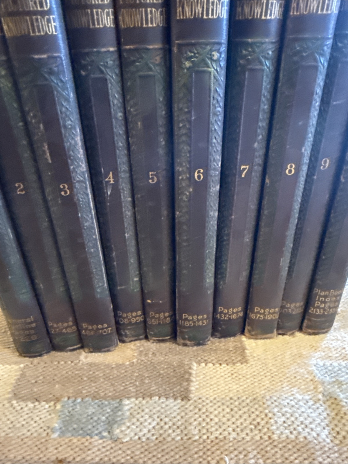 Pictured Knowledge ~1930 ~ Complete set of 10 Volumes Marshall Hughes Co.